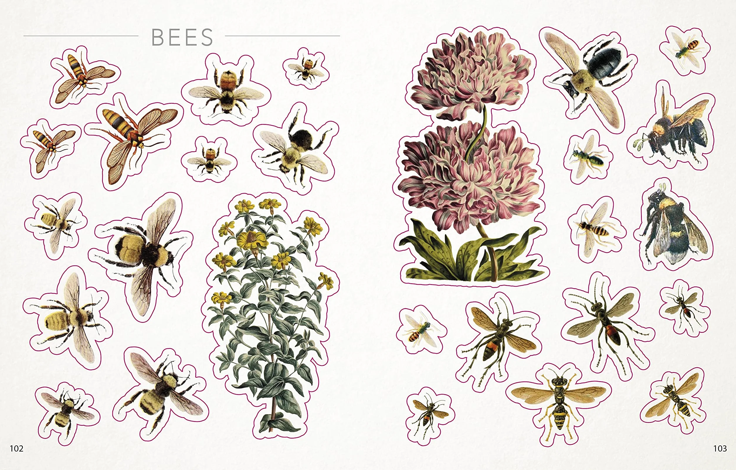 The Bees, Birds & Butterflies Sticker Anthology: With More Than 1,000 Vintage Stickers