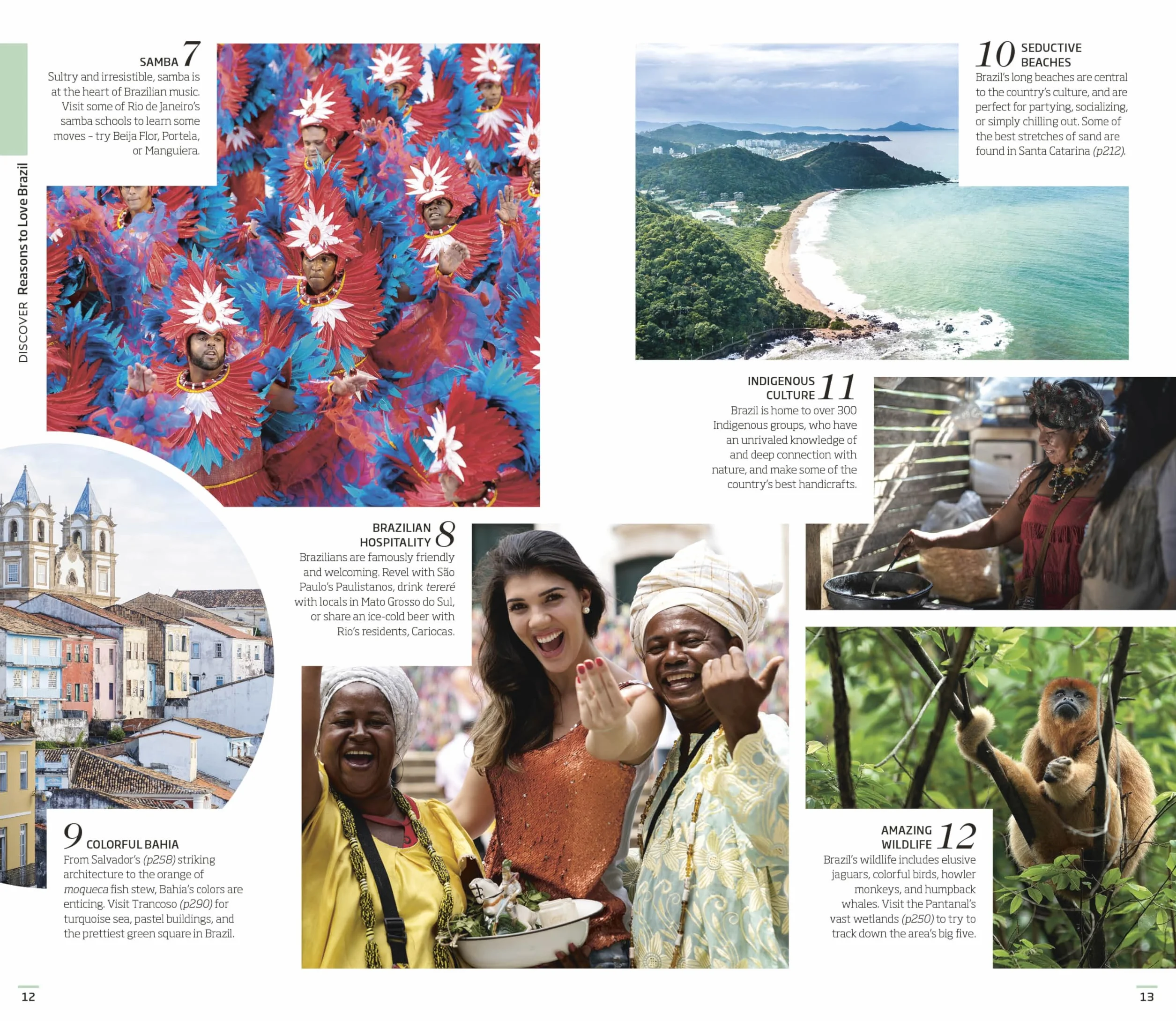 DK Brazil: Must-See Sights. Culture & History. Detailed Maps & Tours. Covers Rio de Janeiro, São Paulo, the Ama