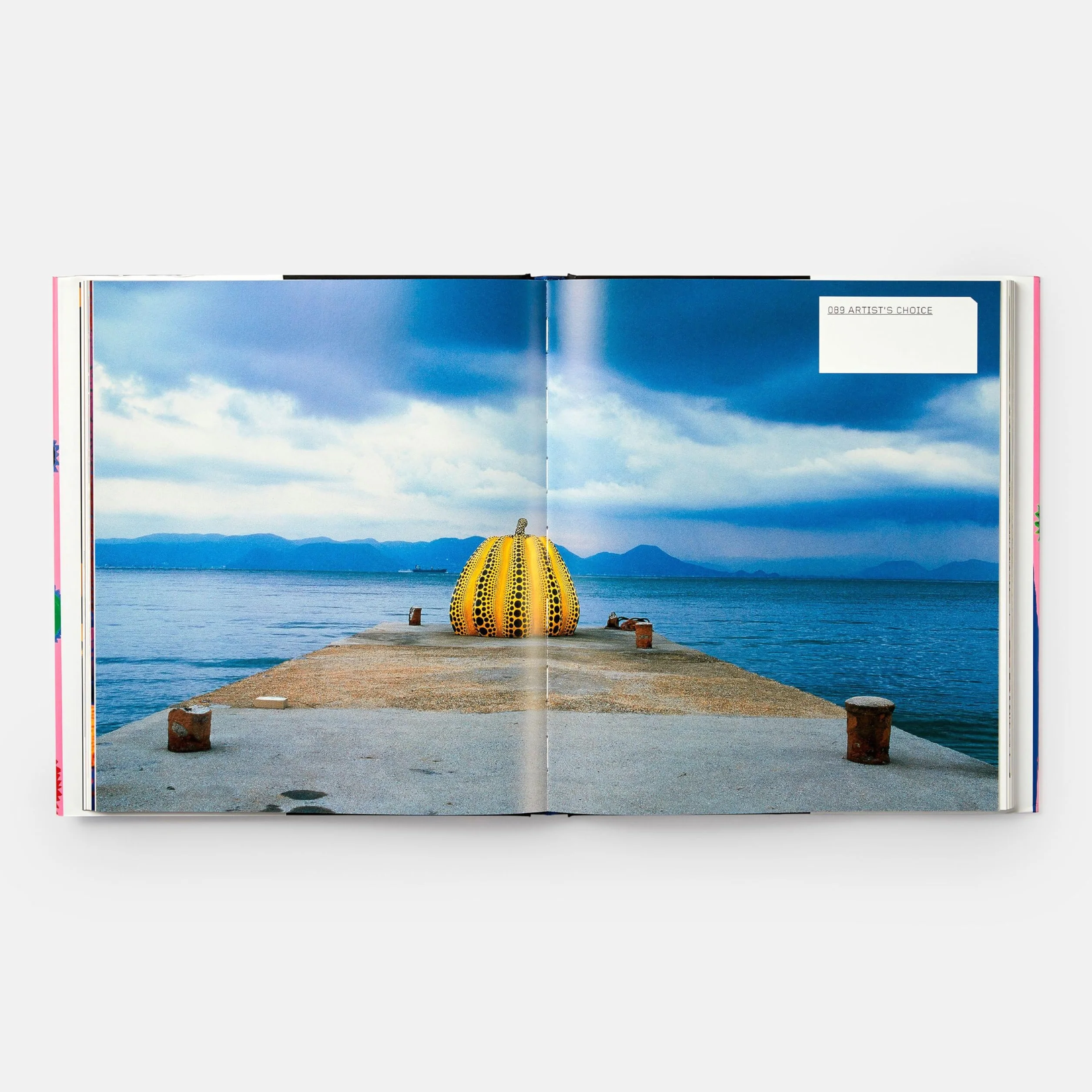 Yayoi Kusama: Revised & Expanded Edition