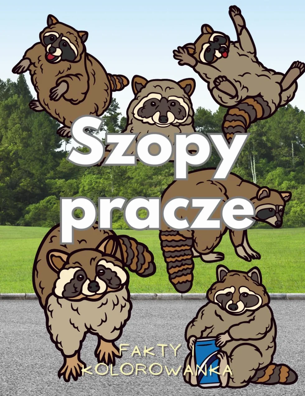 Szopy pracze: fakty i kolorowanka: Książka z aktywnościami dla dzieci w wieku od 2 do 16 lat