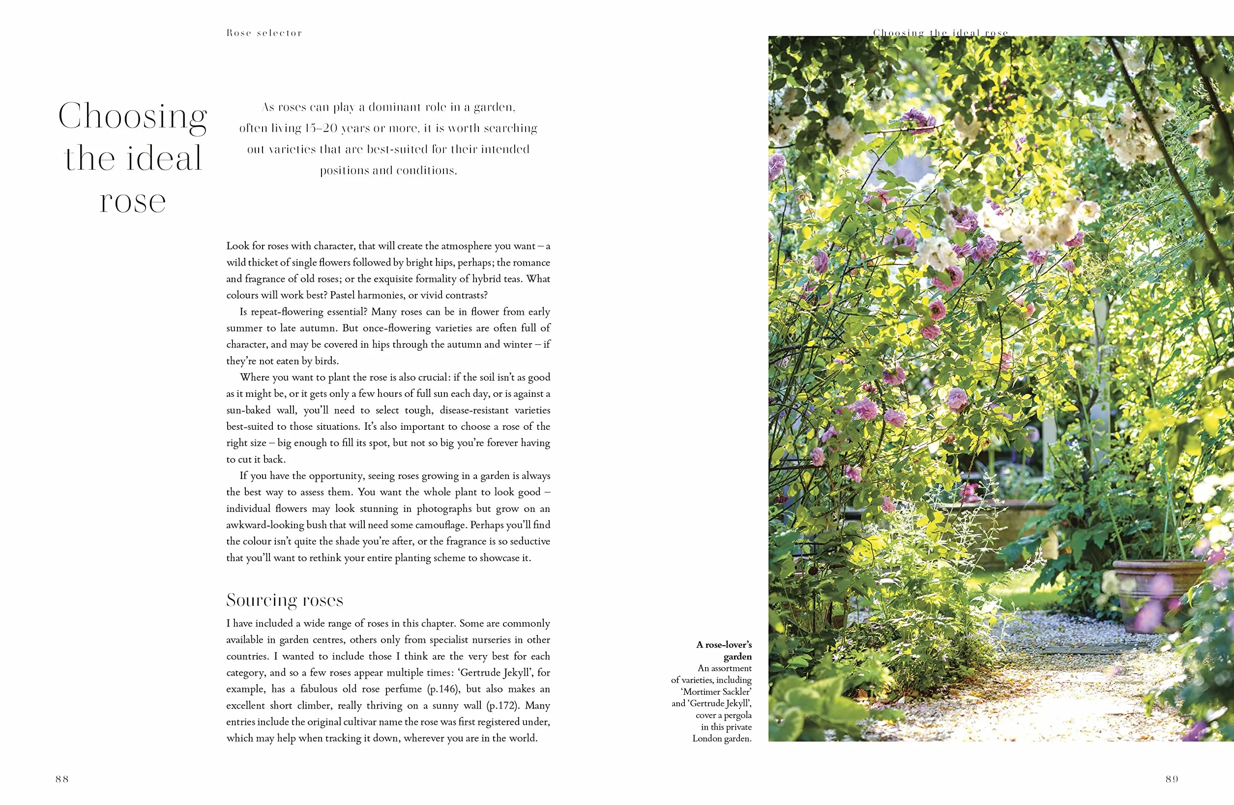 RHS Roses: An Inspirational Guide to Choosing and Growing the Best Roses