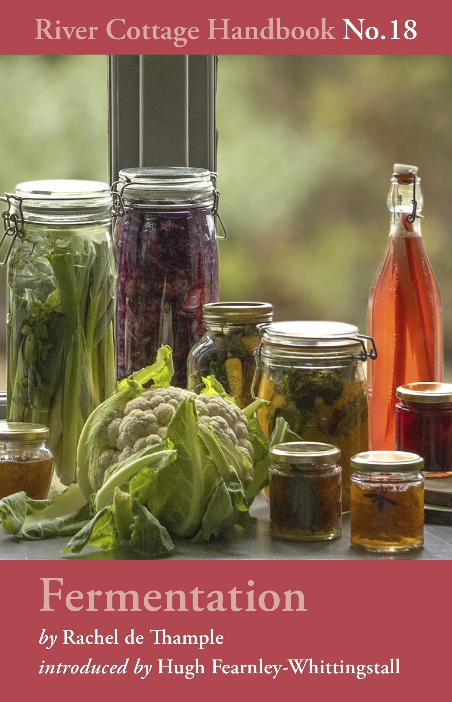 Fermentation: River Cottage Handbook No.18