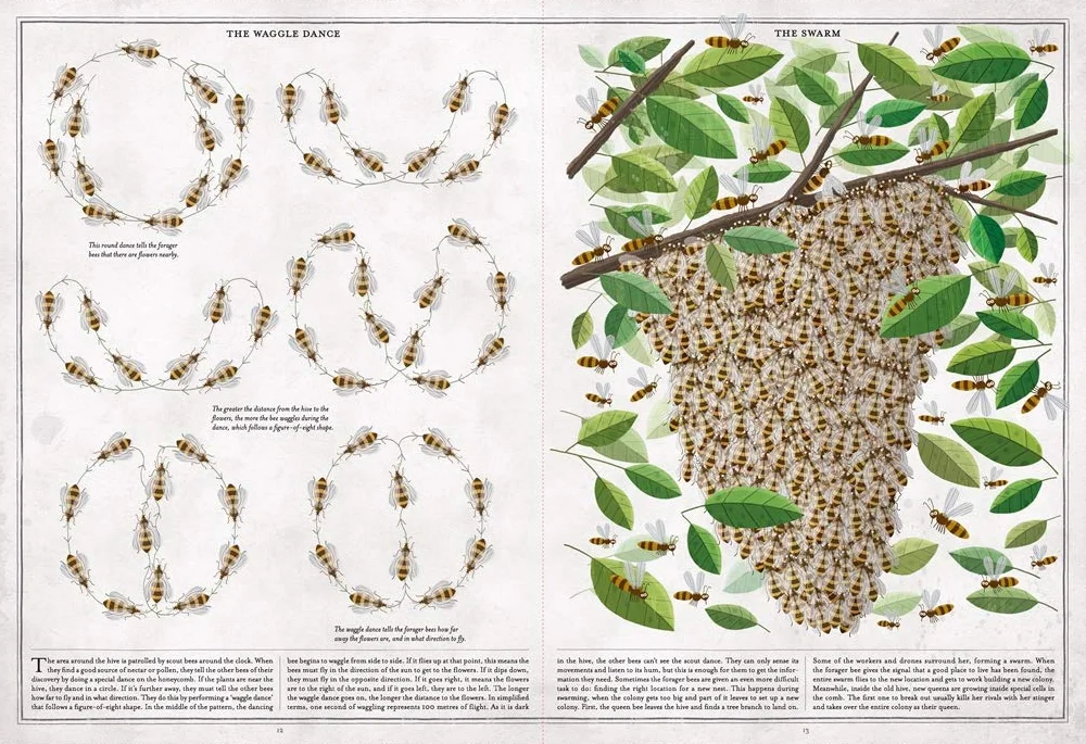 The Book of Bees! /anglais
