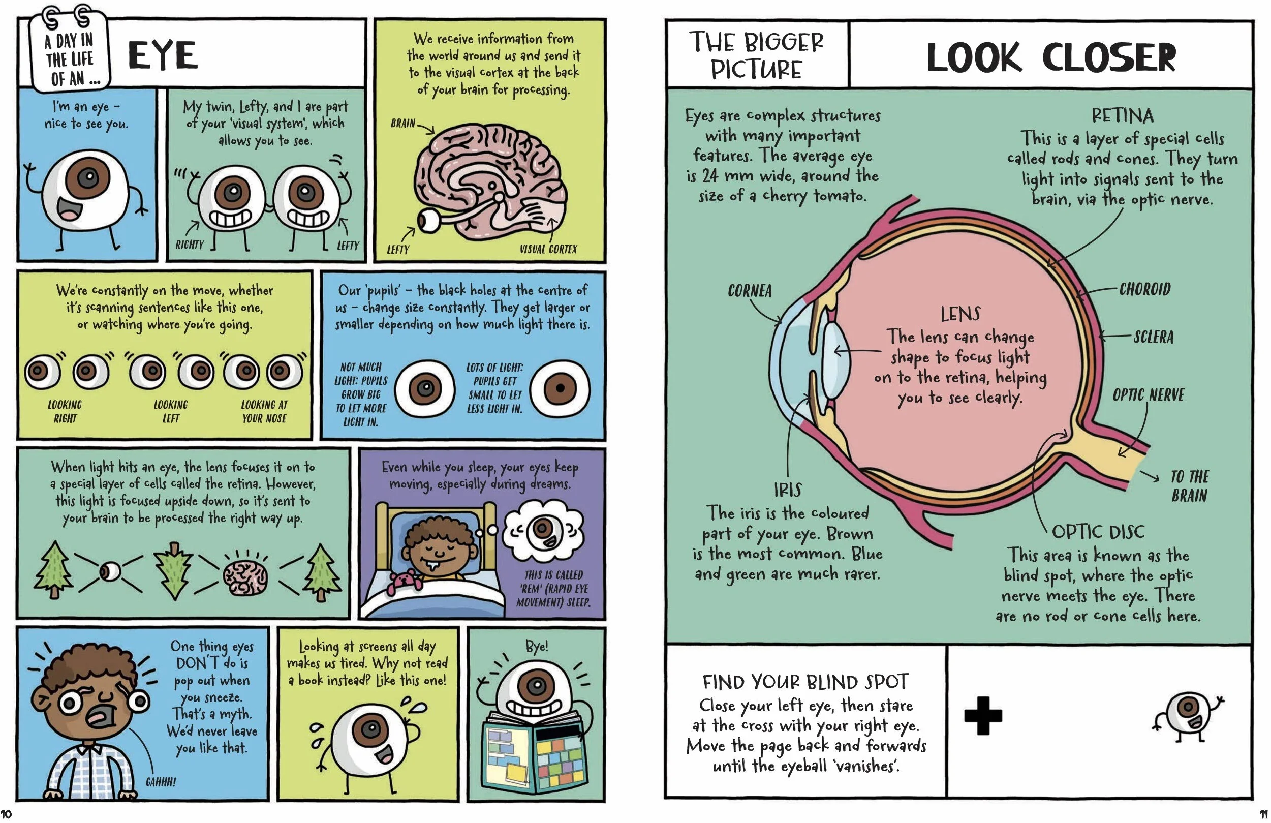 A Day in the Life of a Poo, a Gnu and You (Blue Peter Book Award 2021)