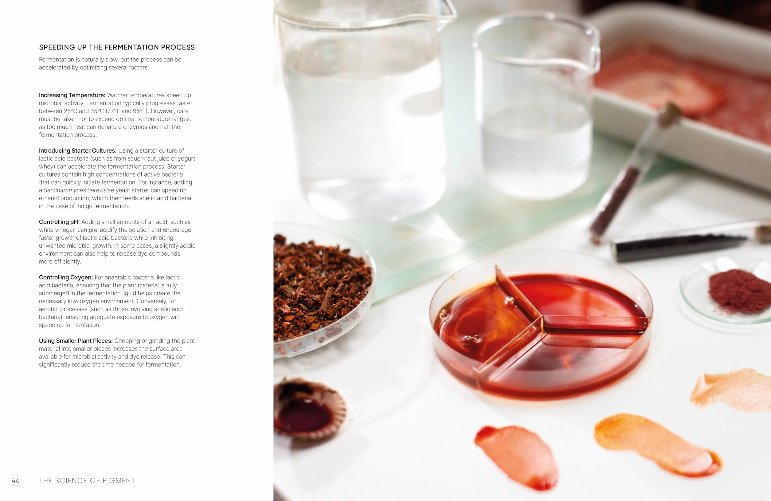The Natural Pigment Handbook: A Maker's Guide to Art, Stories & Paint Recipes