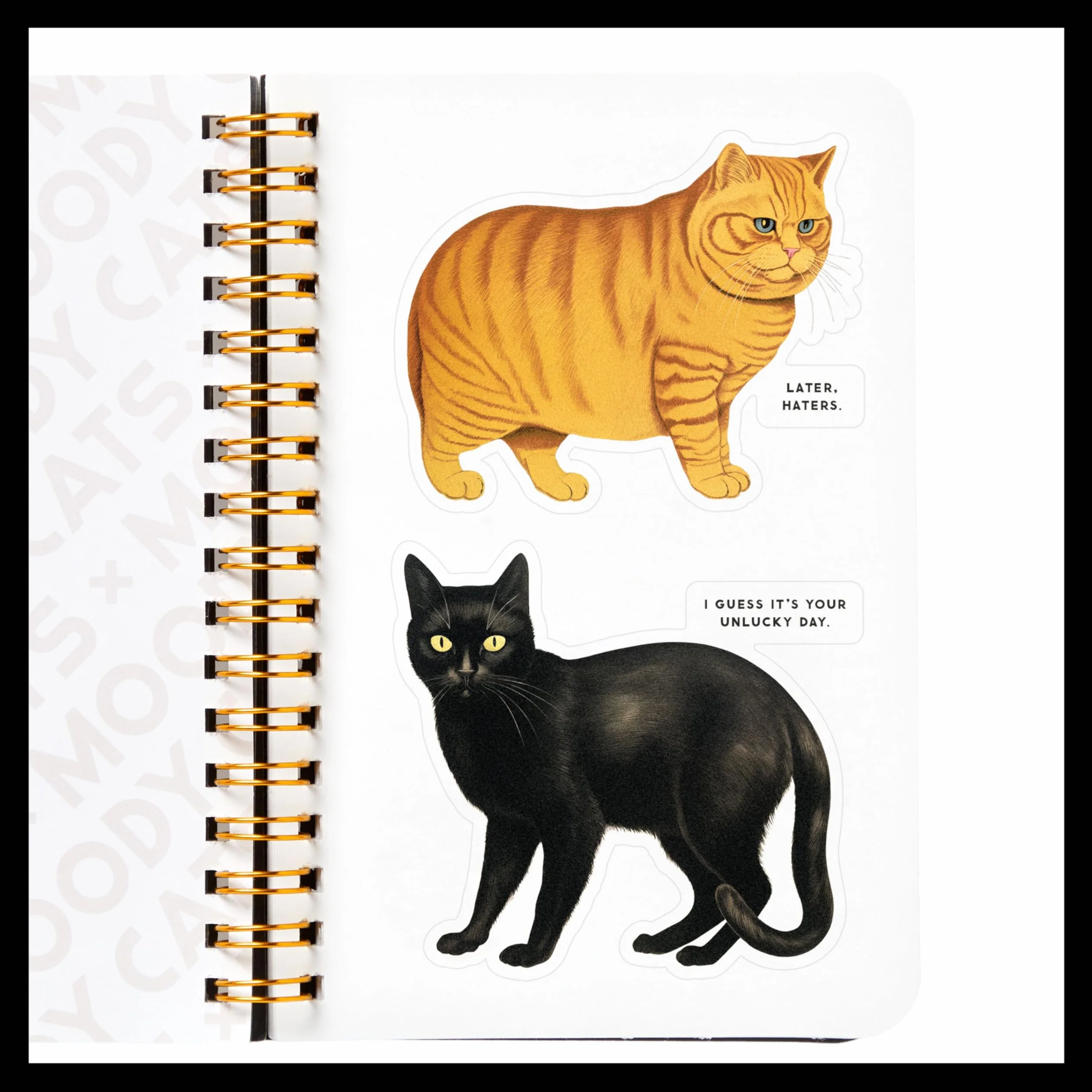 Moody Cats Sticker Book