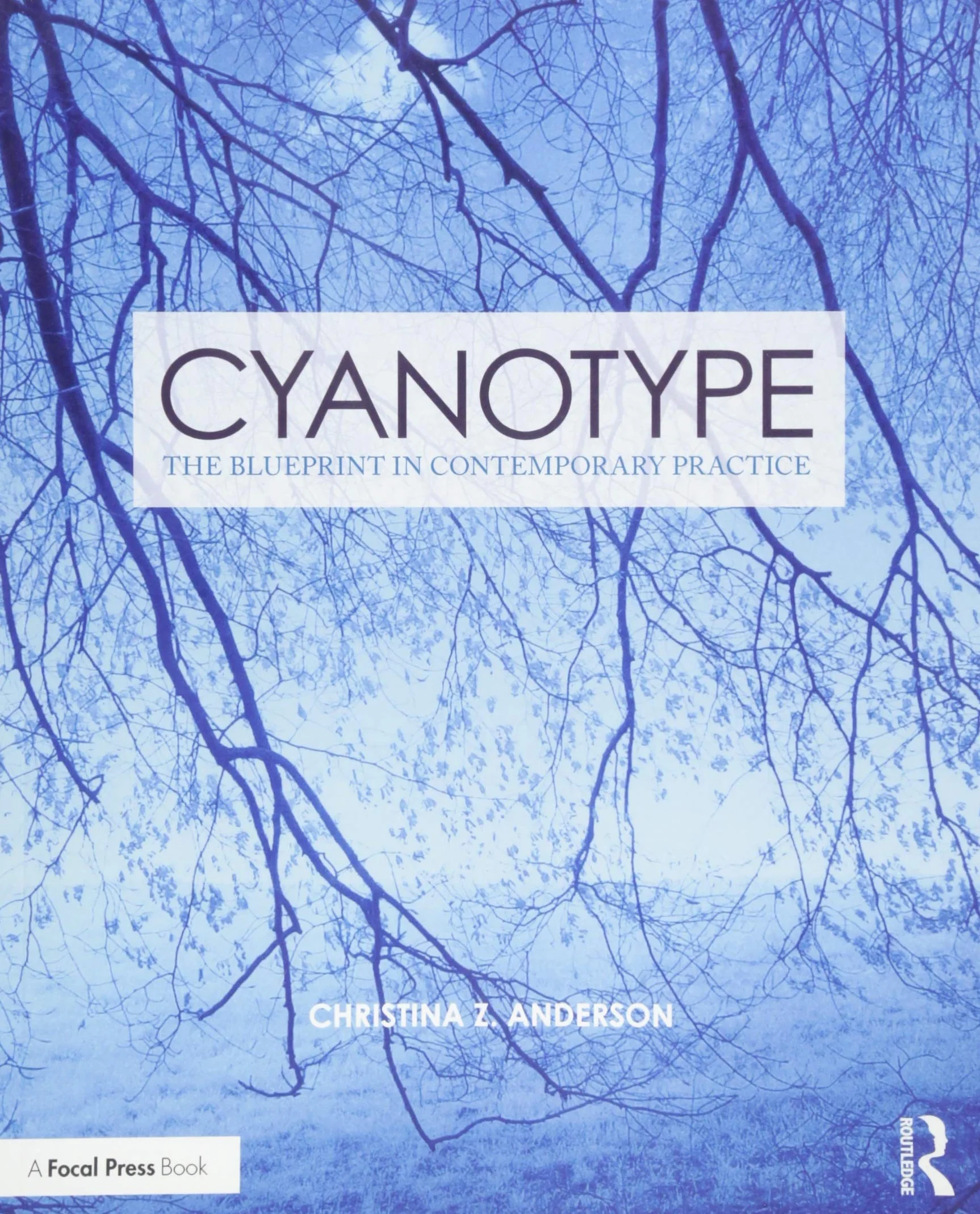 Cyanotype: The Blueprint in Contemporary Practice