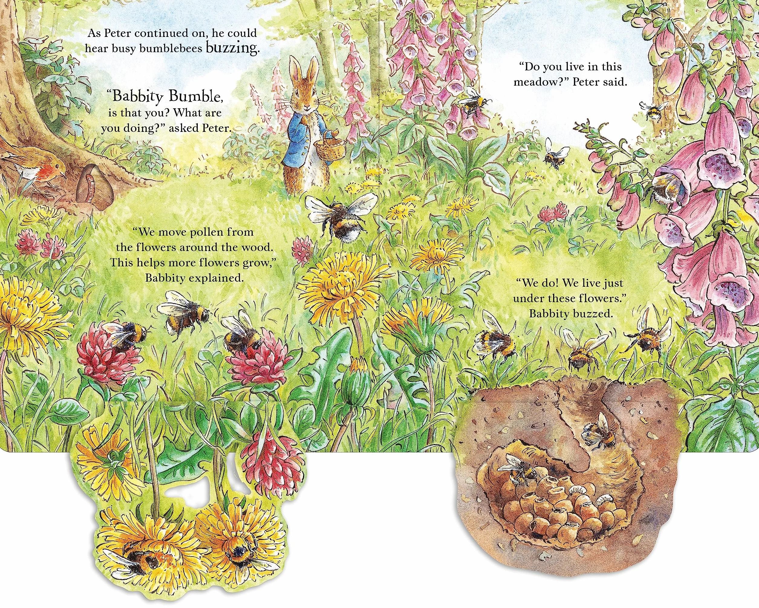 Peter Rabbit: Forest Homes A Peep-Inside Tale