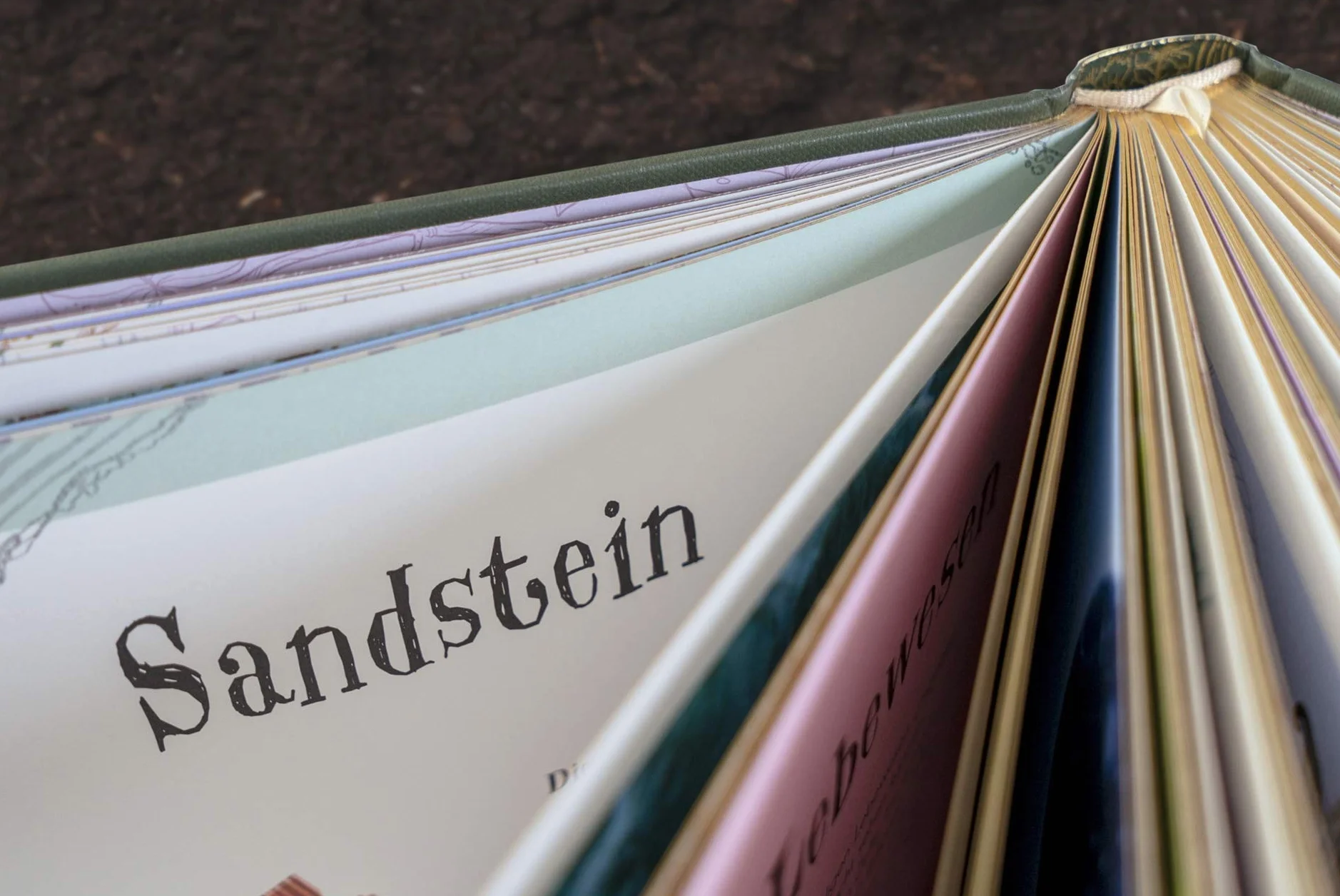 Naturbilderbuch für die ganze Familie mit Lesebändchen, Goldfolie und Goldschnitt