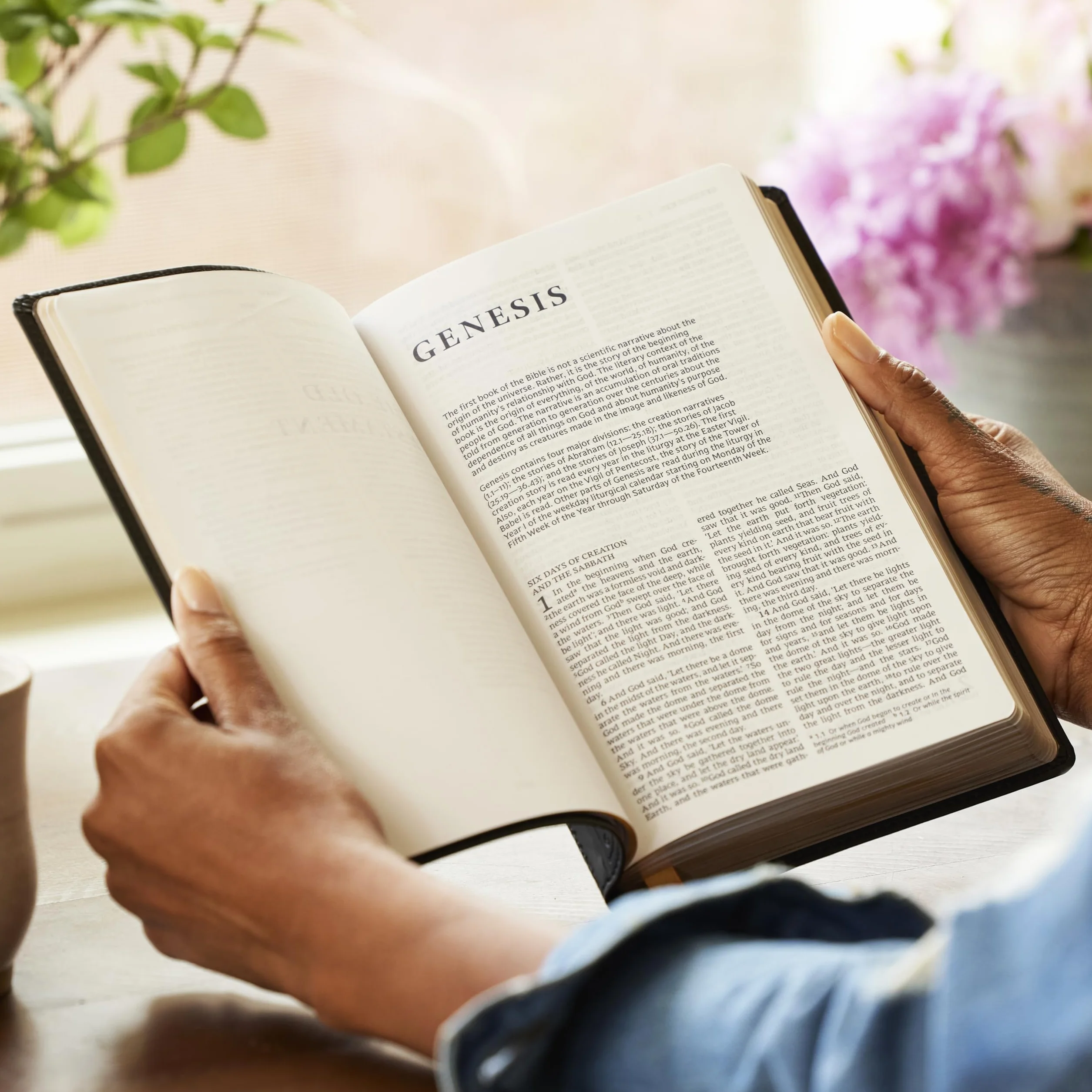 Catholic Bible, Leathersoft, White, Comfort Print, Nrsv, Gift Edition