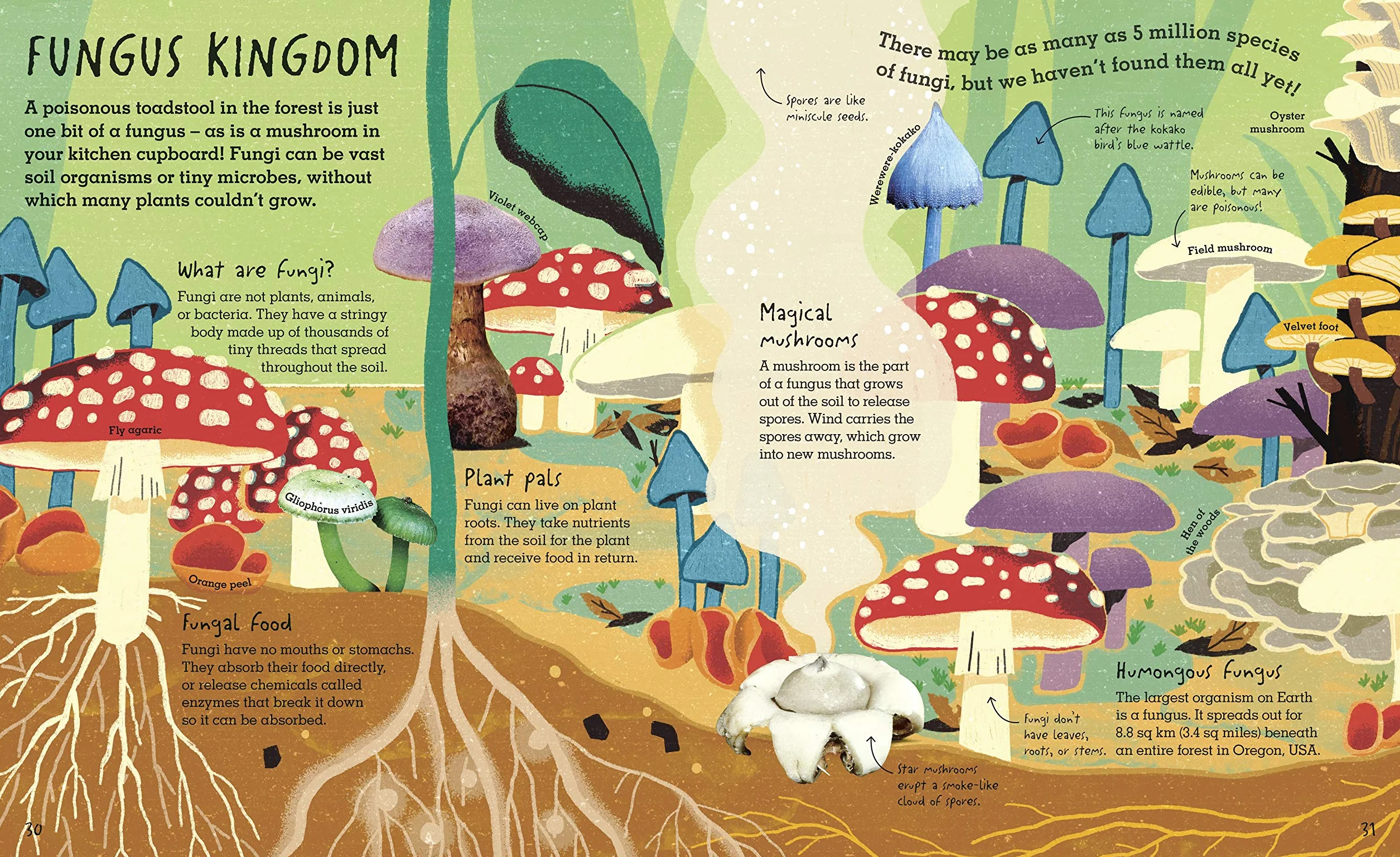 RHS Under Your Feet: Soil, Sand and other stuff (Underground and All Around)