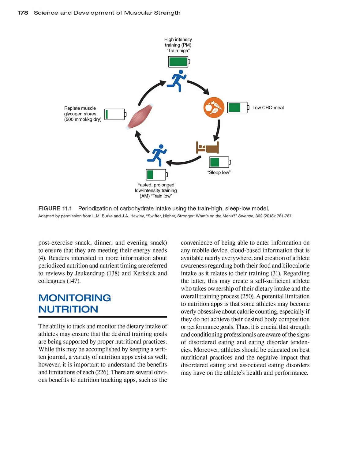 Science and Development of Muscular Strength