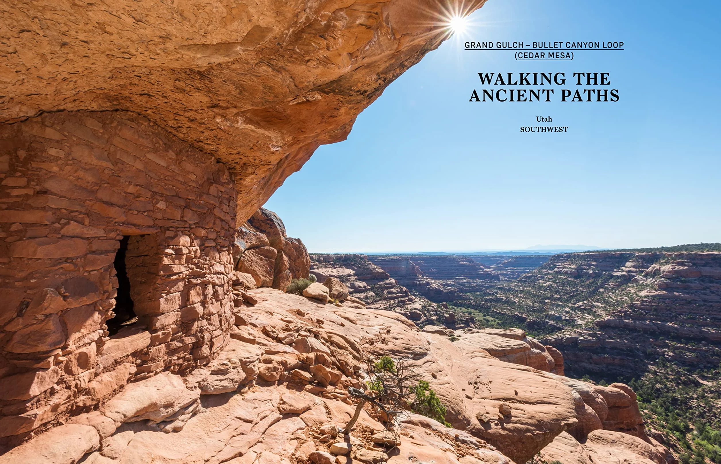 Wanderlust USA: The Great American Hike Explored by Cam Honan