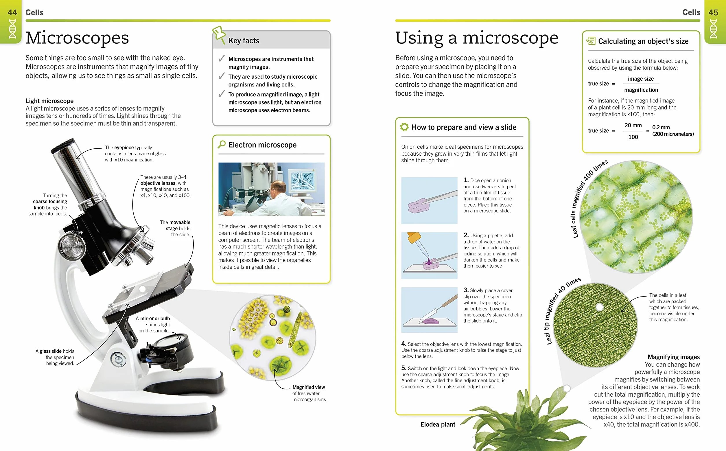 Super Simple Biology: The Ultimate Bitesize Study Guide