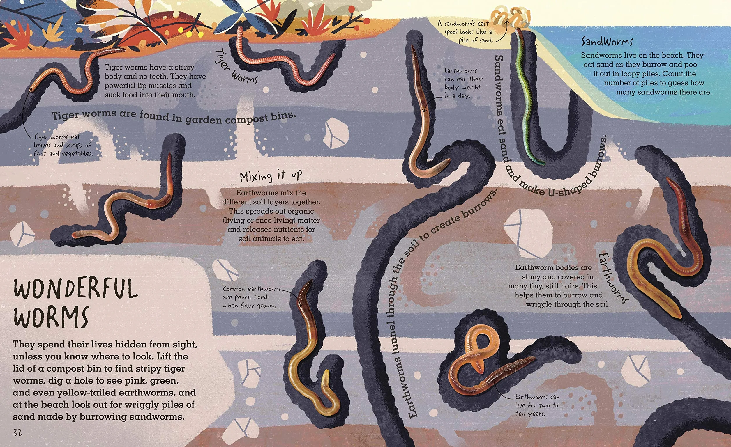 RHS Under Your Feet: Soil, Sand and other stuff (Underground and All Around)