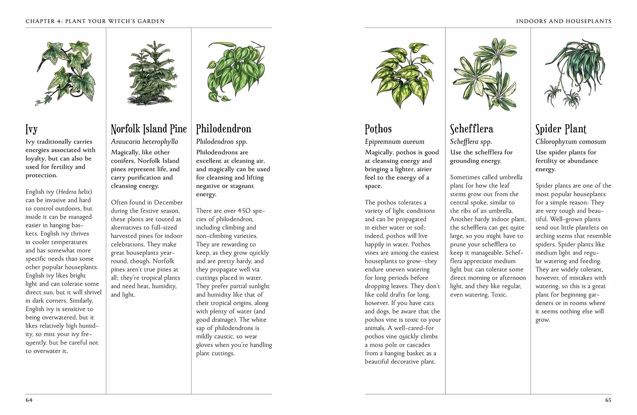 The Green Witch's Garden: Your Complete Guide to Creating a Magical Garden Space