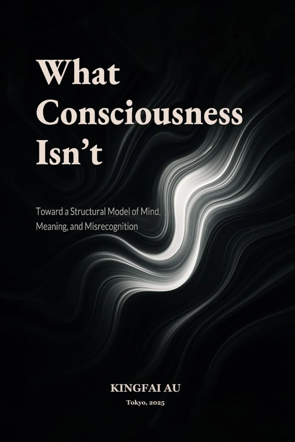 What Consciousness Isn't: Toward a Structural Model of Mind, Meaning, and Misrecognition