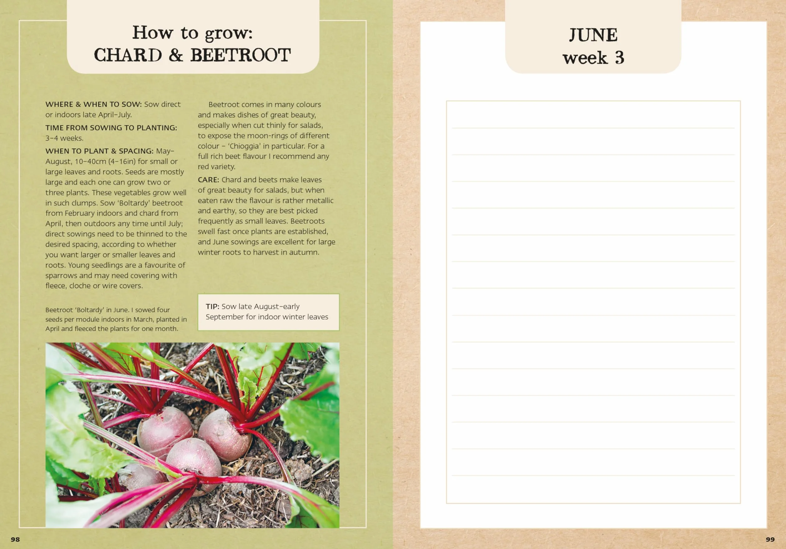 Charles Dowding's Veg Journal: Expert No-Dig Advice Month by Month