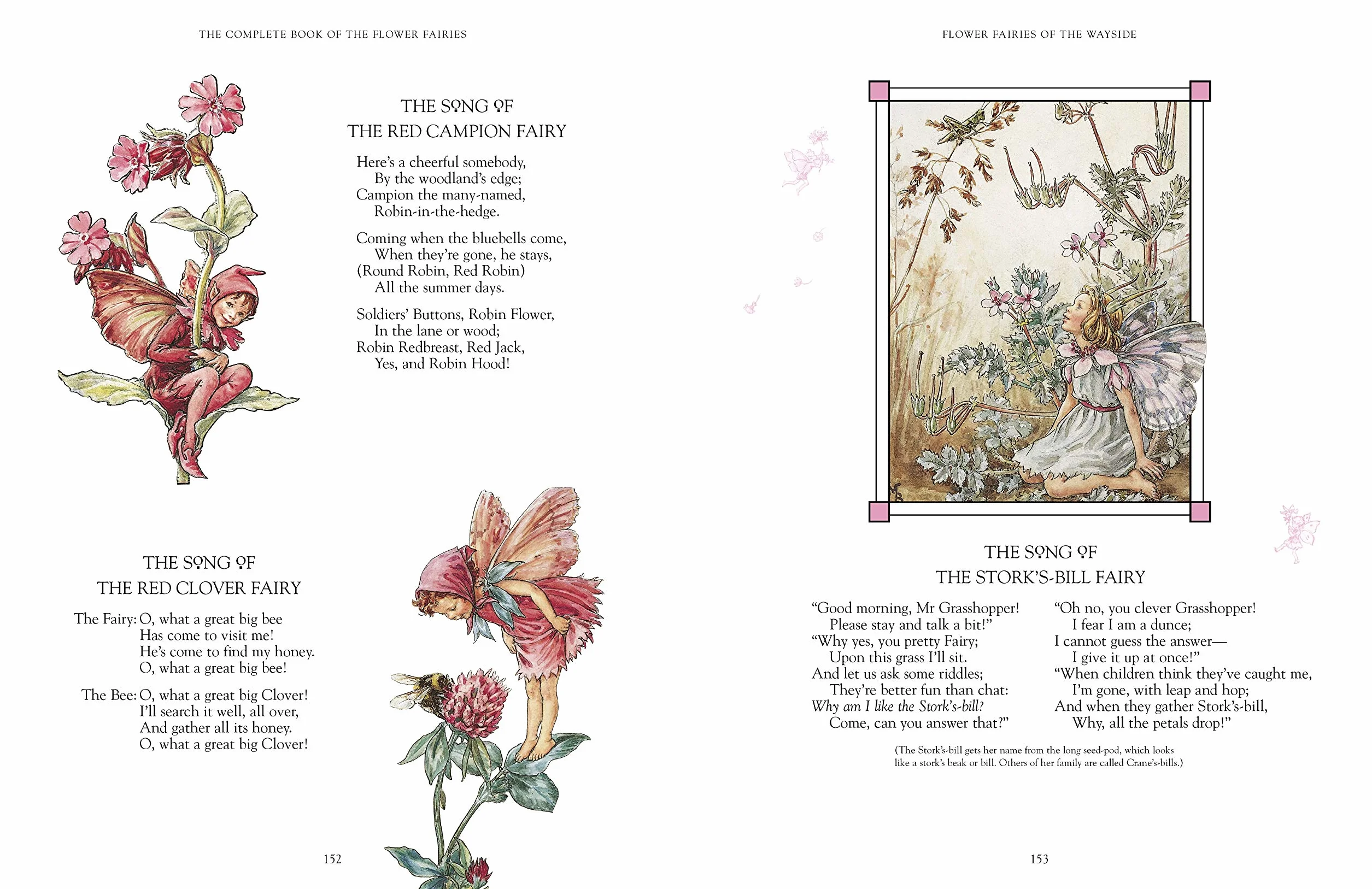 The Complete Book of the Flower Fairies