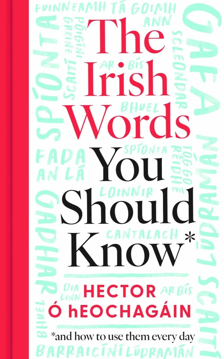 The Irish Words You Should Know: How to Use Them Every Day