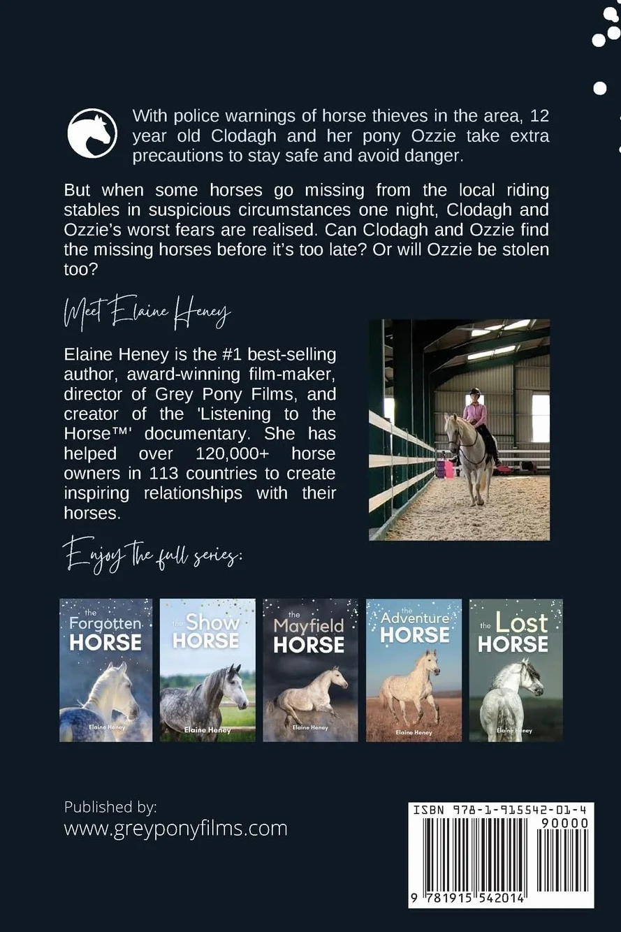 The Stolen Horse - Book 4 in the Connemara Horse Adventure Series for Kids | The Perfect Gift for Children age 8-12