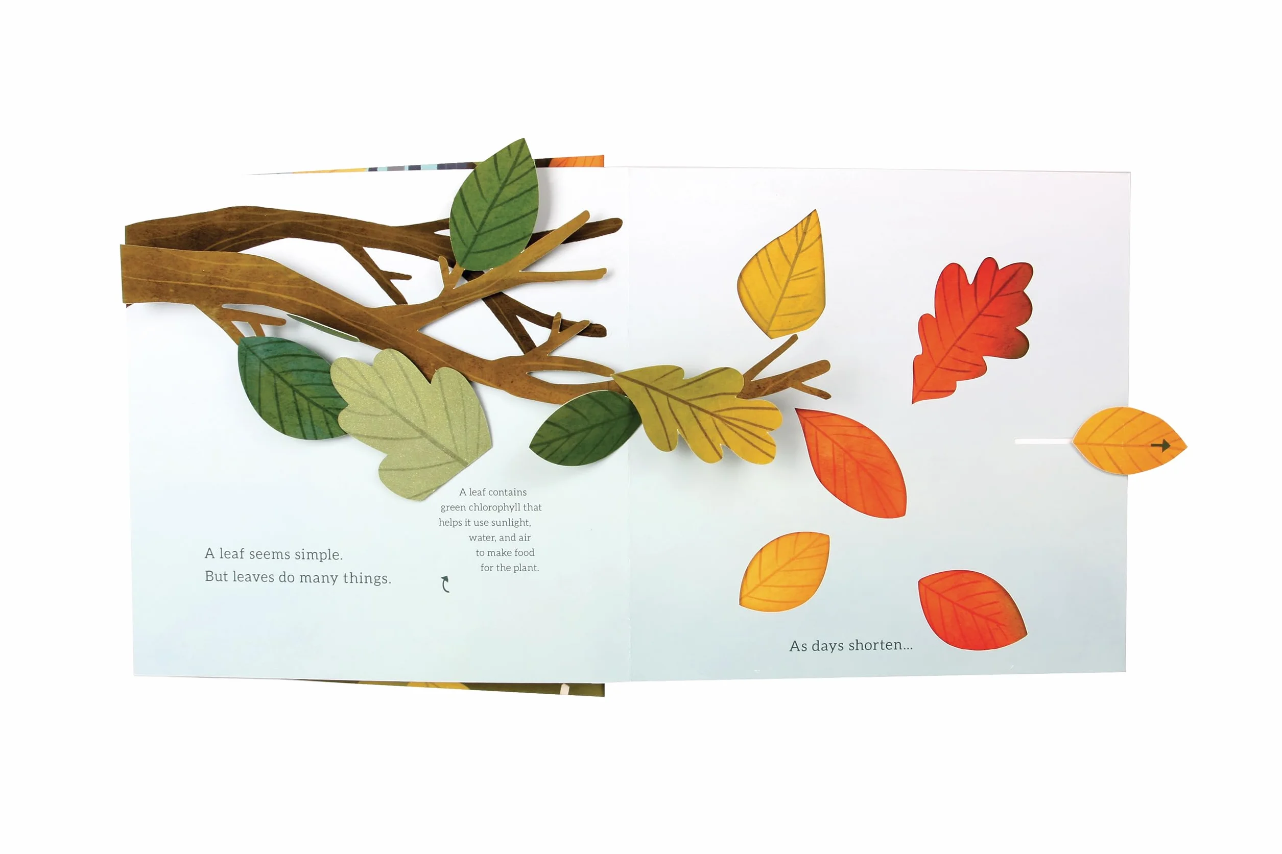 Leaves: An Autumn Pop-Up Book