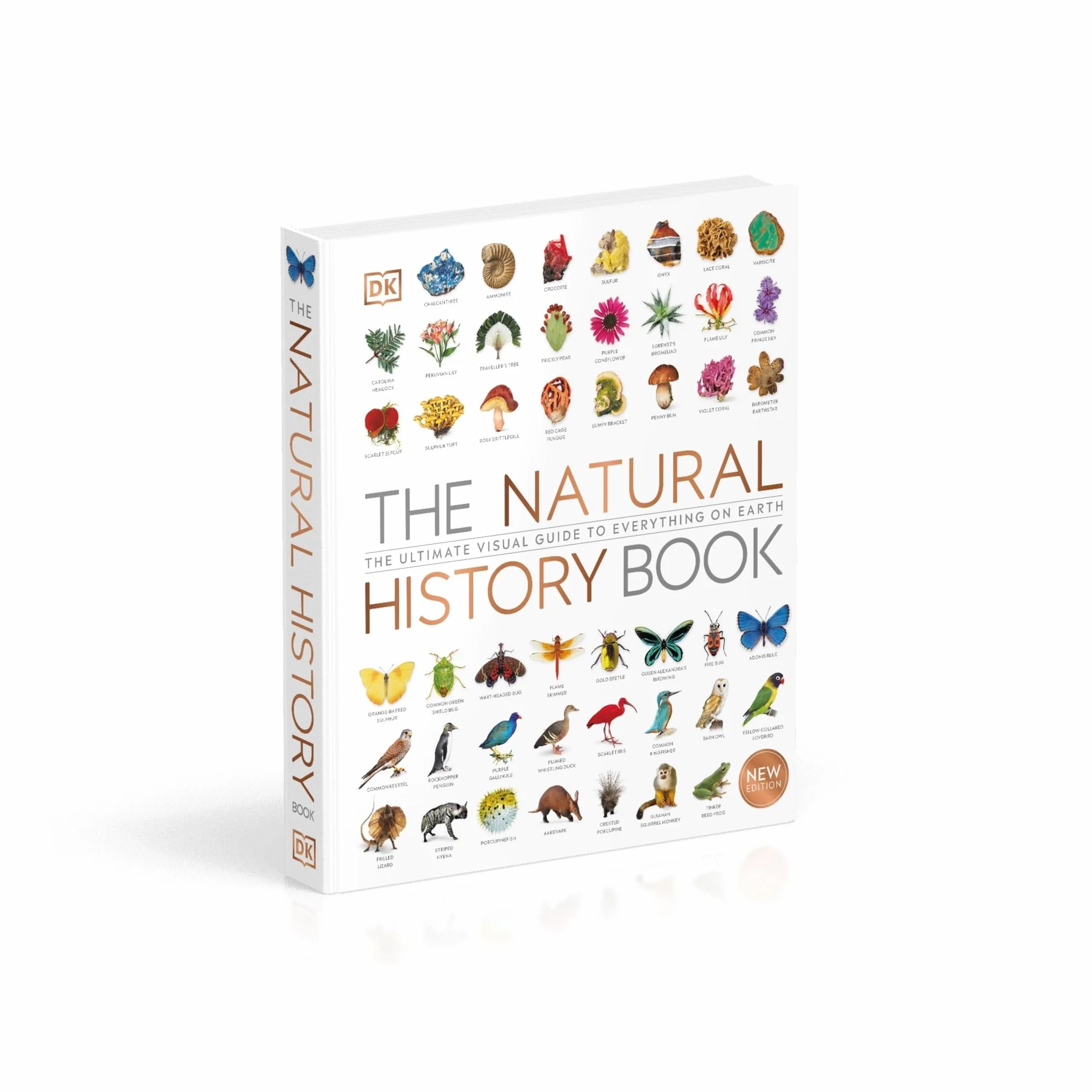 The Natural History Book: The Ultimate Visual Guide to Everything on Earth