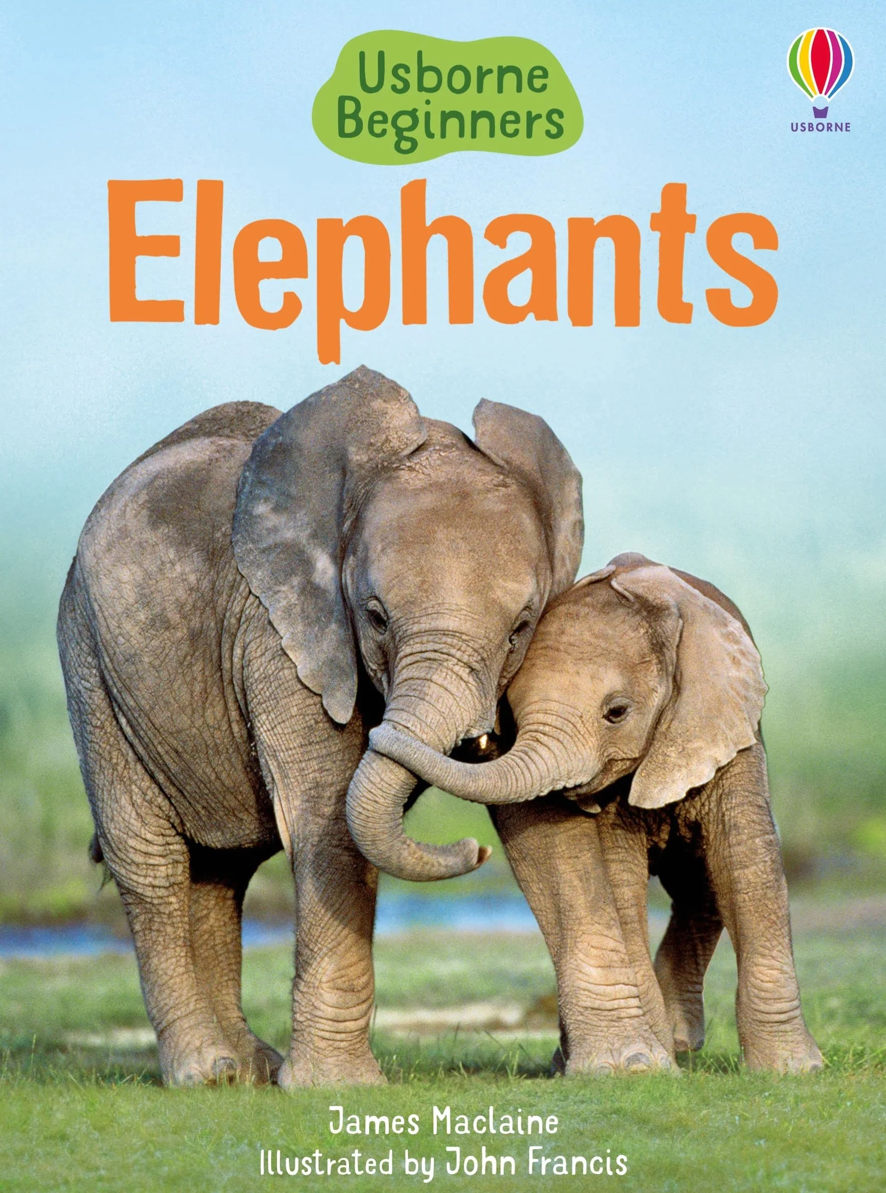 Elephants (Beginners)