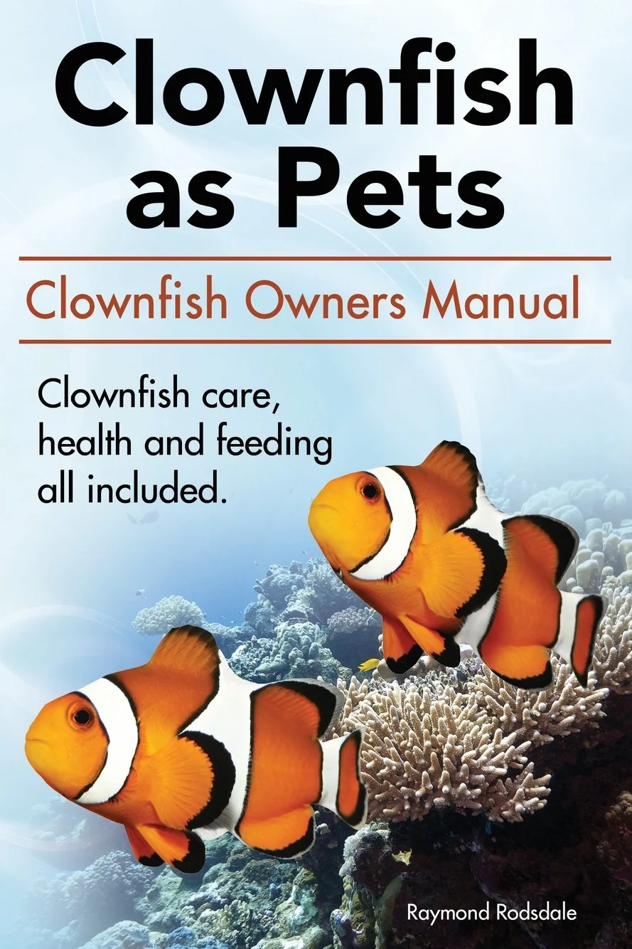 Clown Fish Care Manual: Health, Feeding & Advantages for Owners