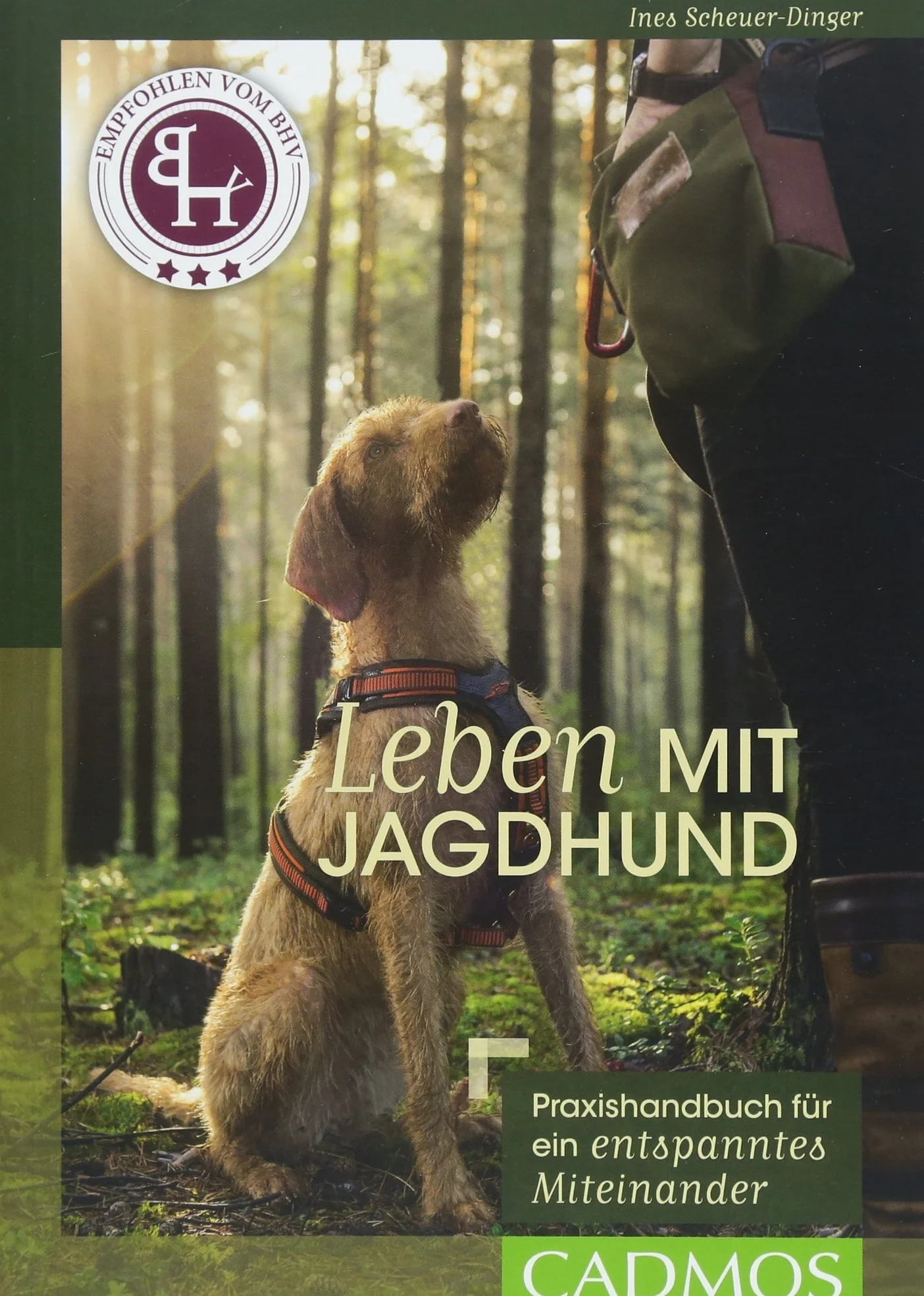 Leben mit Jagdhund: Praxishandbuch für ein entspanntes Miteinander