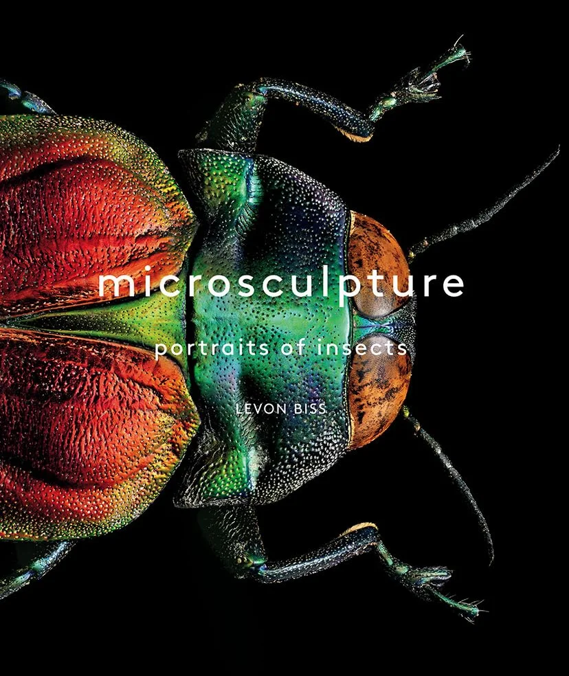 Microsculpture: Portraits of Insects