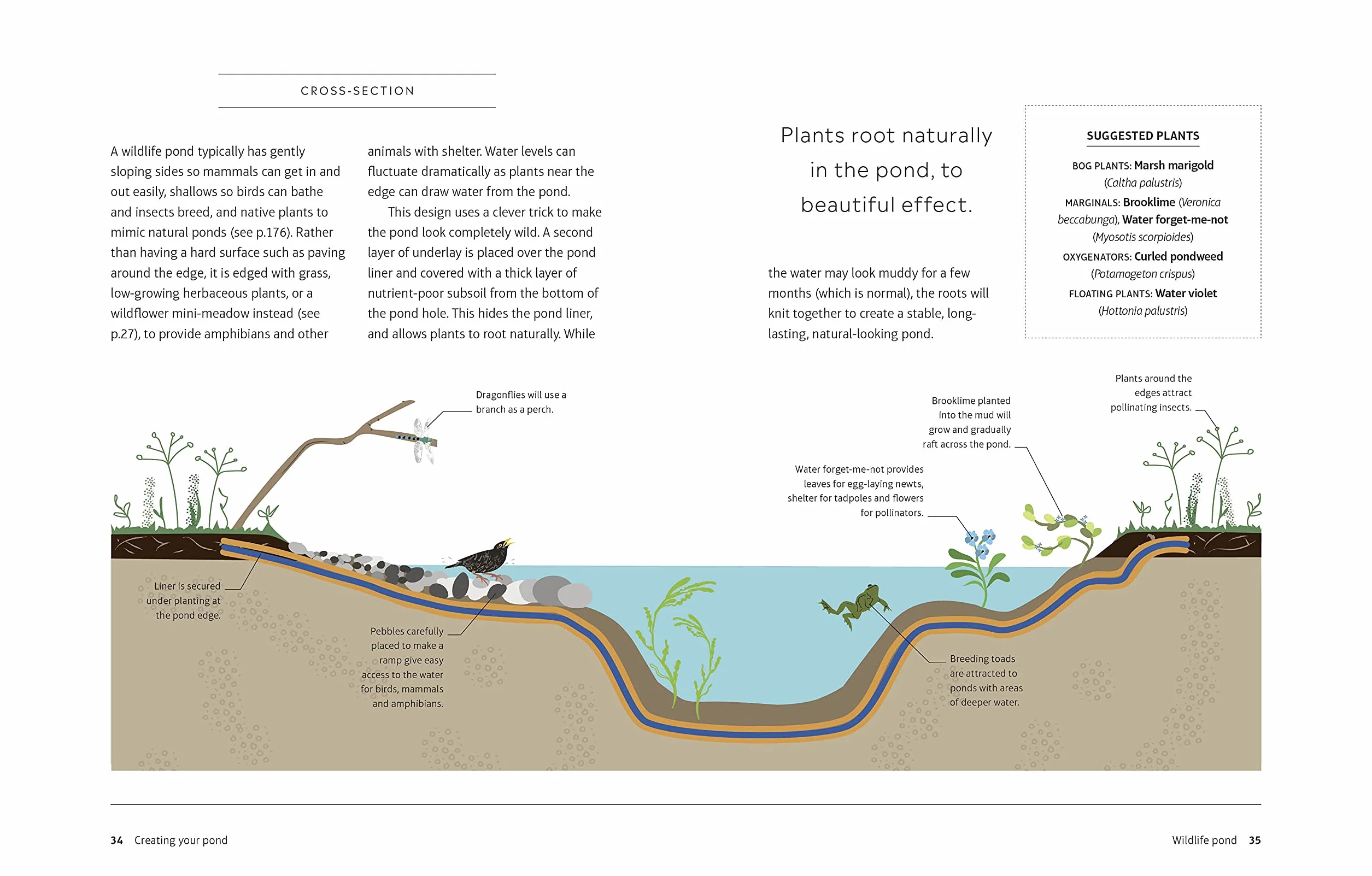 RHS How to Create a Wildlife Pond: Plan, Dig, and Enjoy a Natural Pond