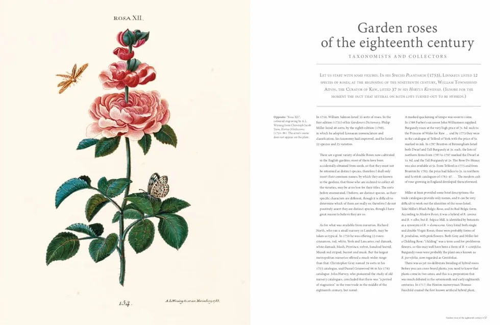 Rhs the Rose: The History of the World's Favourite Flower Told Through 40 Extraordinary Roses