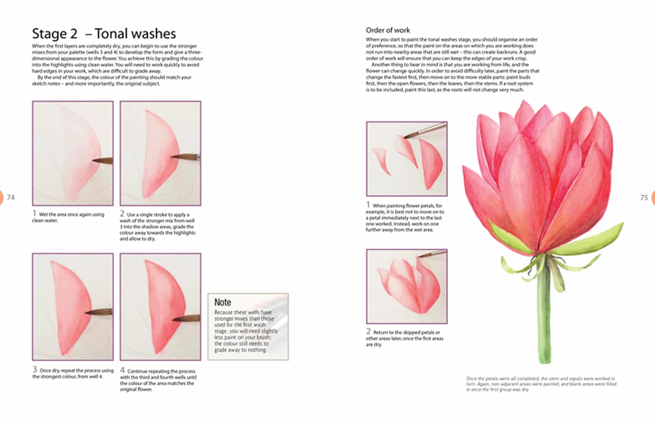 Beginner's Guide to Botanical Flower Painting