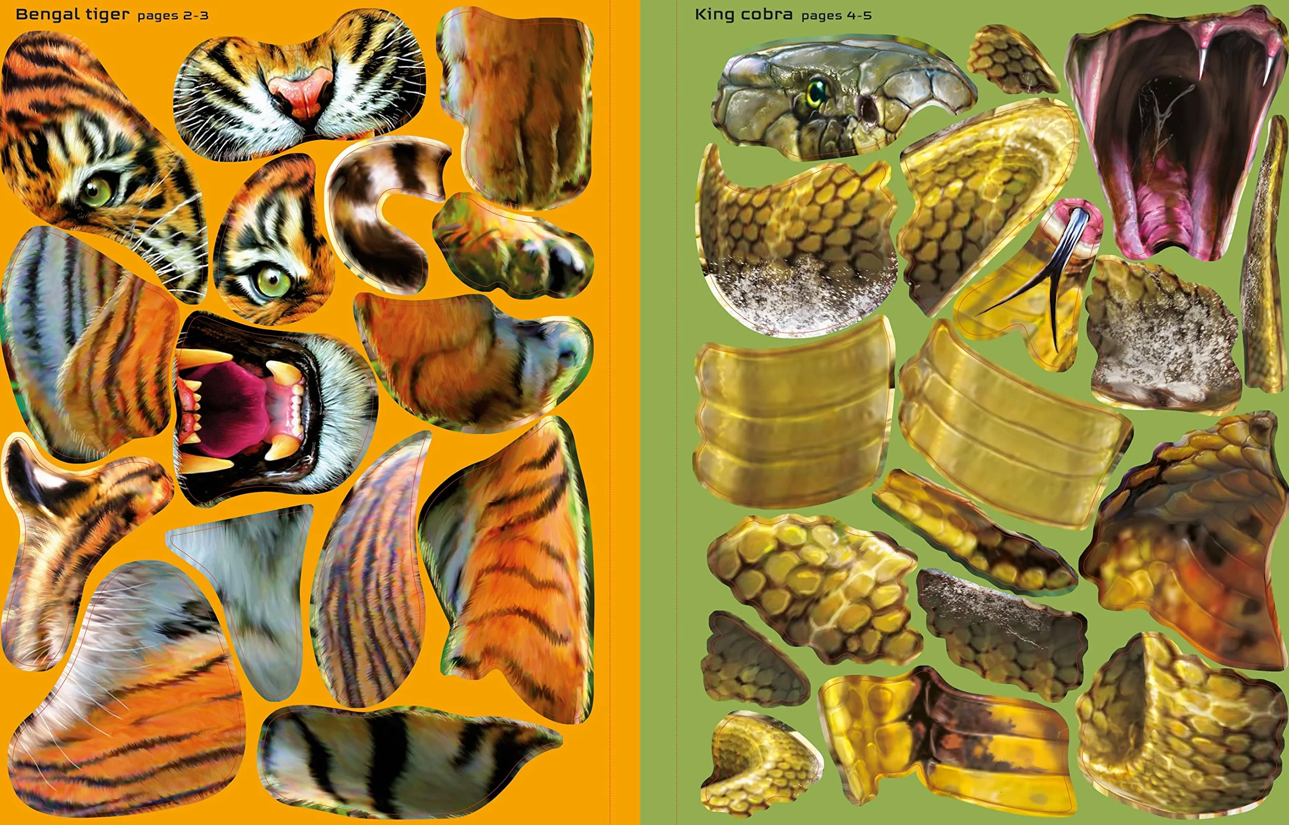Build Your Own Deadly Animals Sticker Book