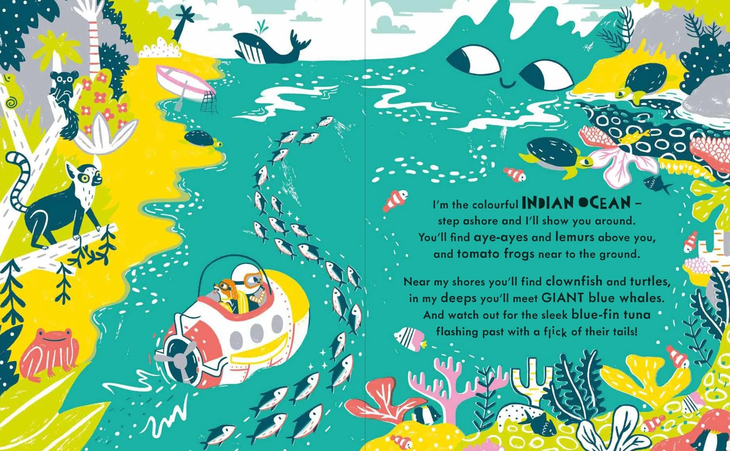Meet the Oceans