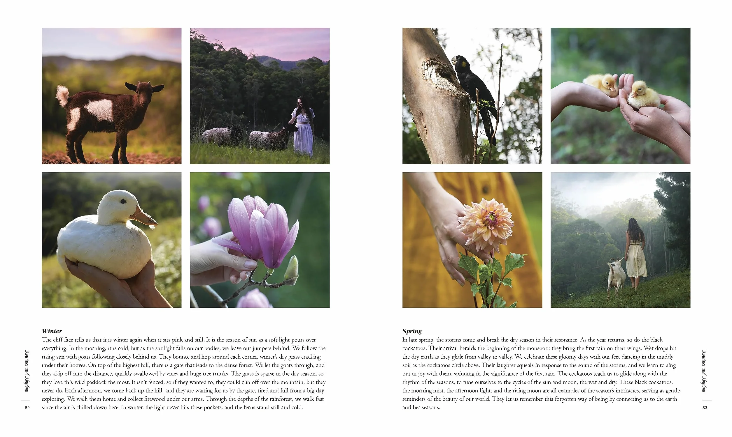 Mother the Mountain: The Art of Living with Nature