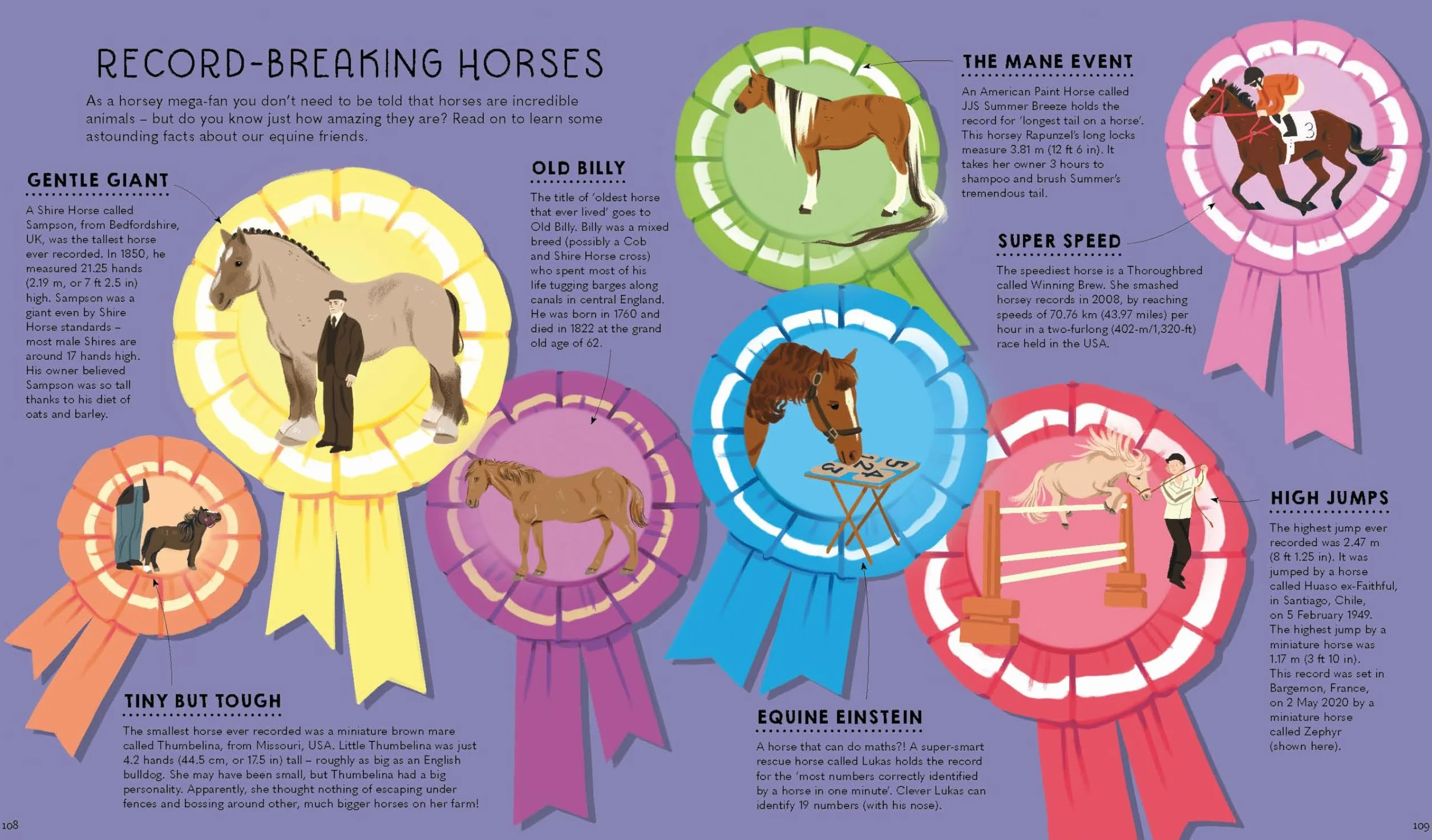 Atlas of Horses and Ponies: 100 Amazing Breeds From Around the World Fun Features Illustrations Learn About Super Senses Fascinating Facts