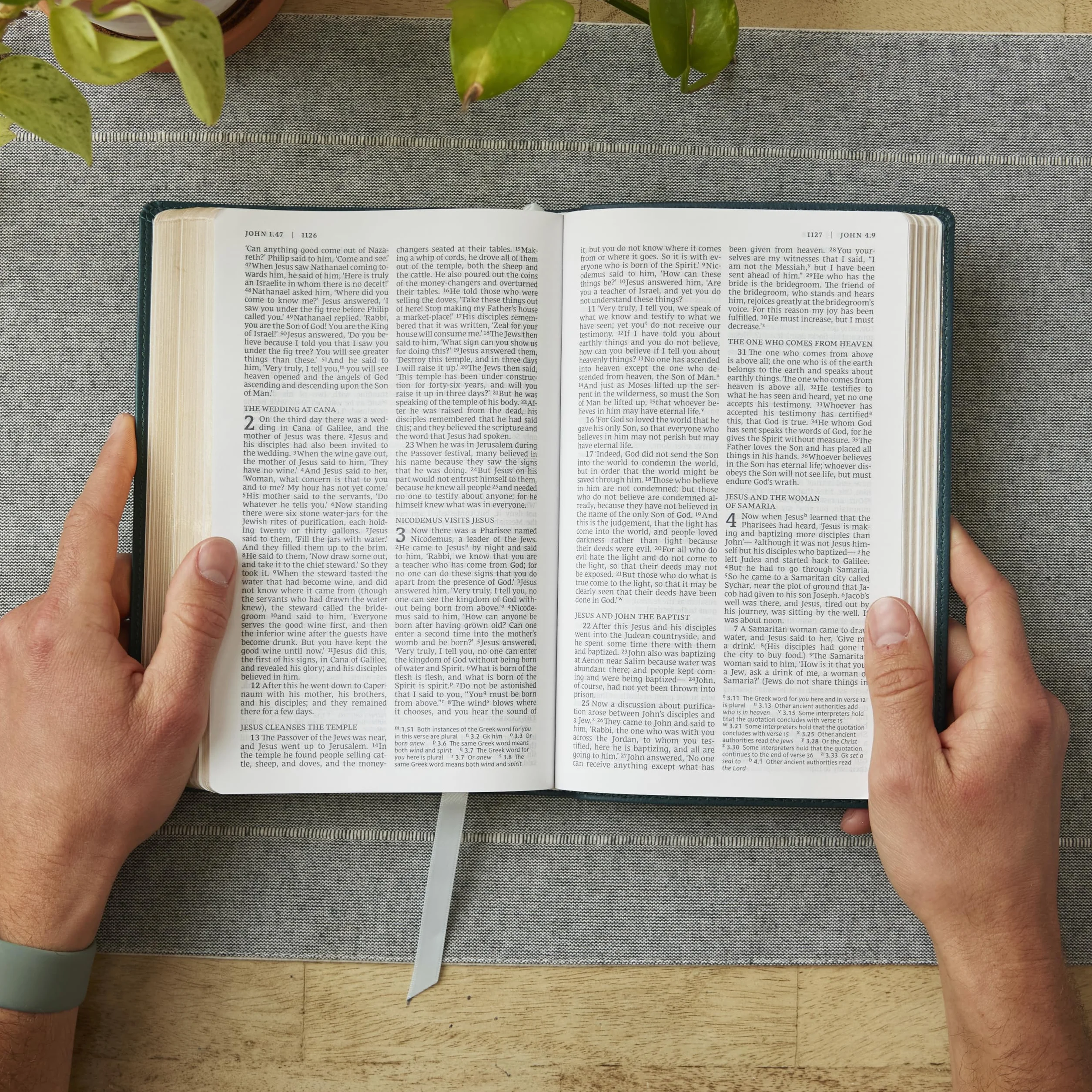 Catholic Bible, Leathersoft, White, Comfort Print, Nrsv, Gift Edition