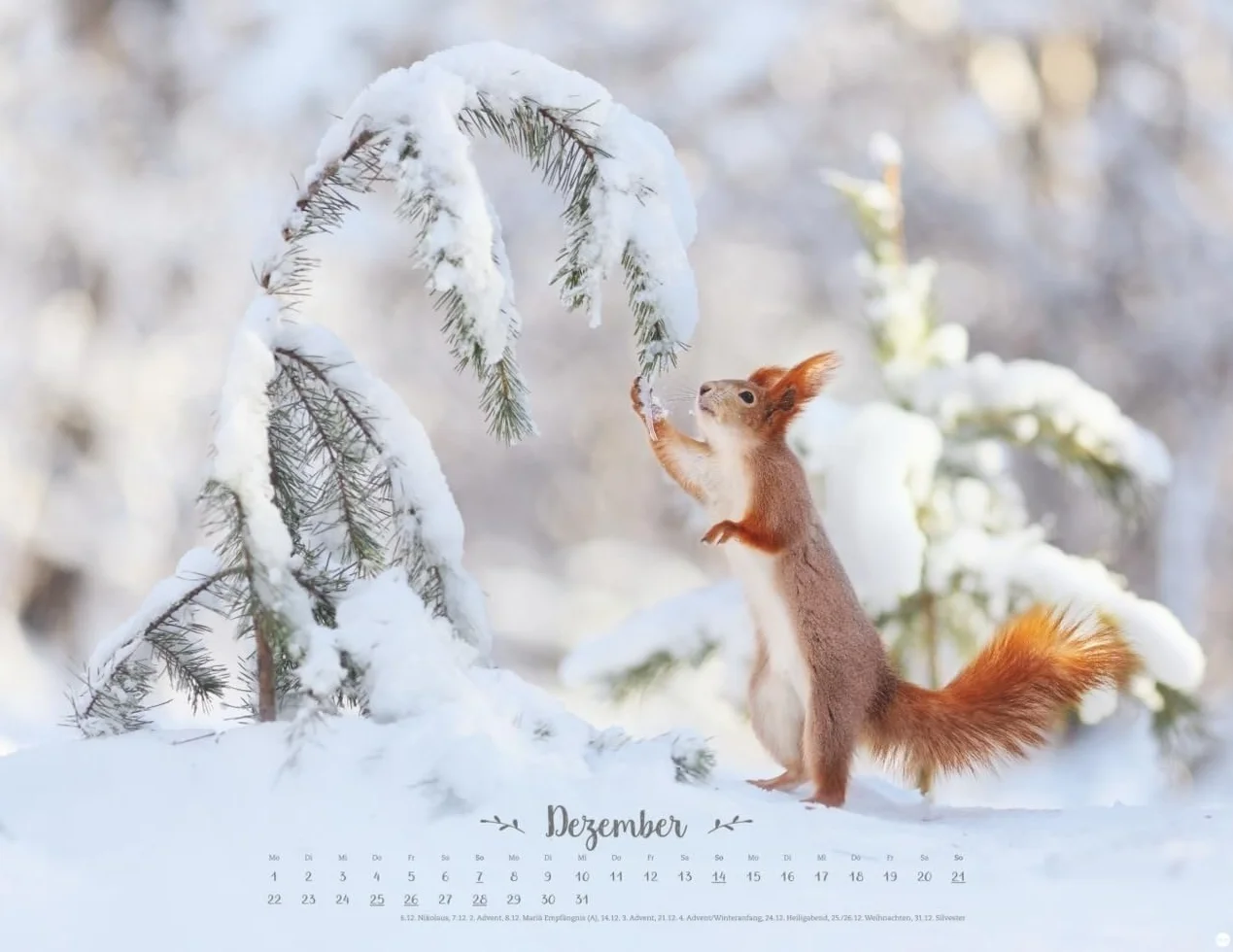 Vadim Trunov Märchenhaftes Waldleben Posterkalender 2025 Naturkalender 44 x 34 cm Querformat
