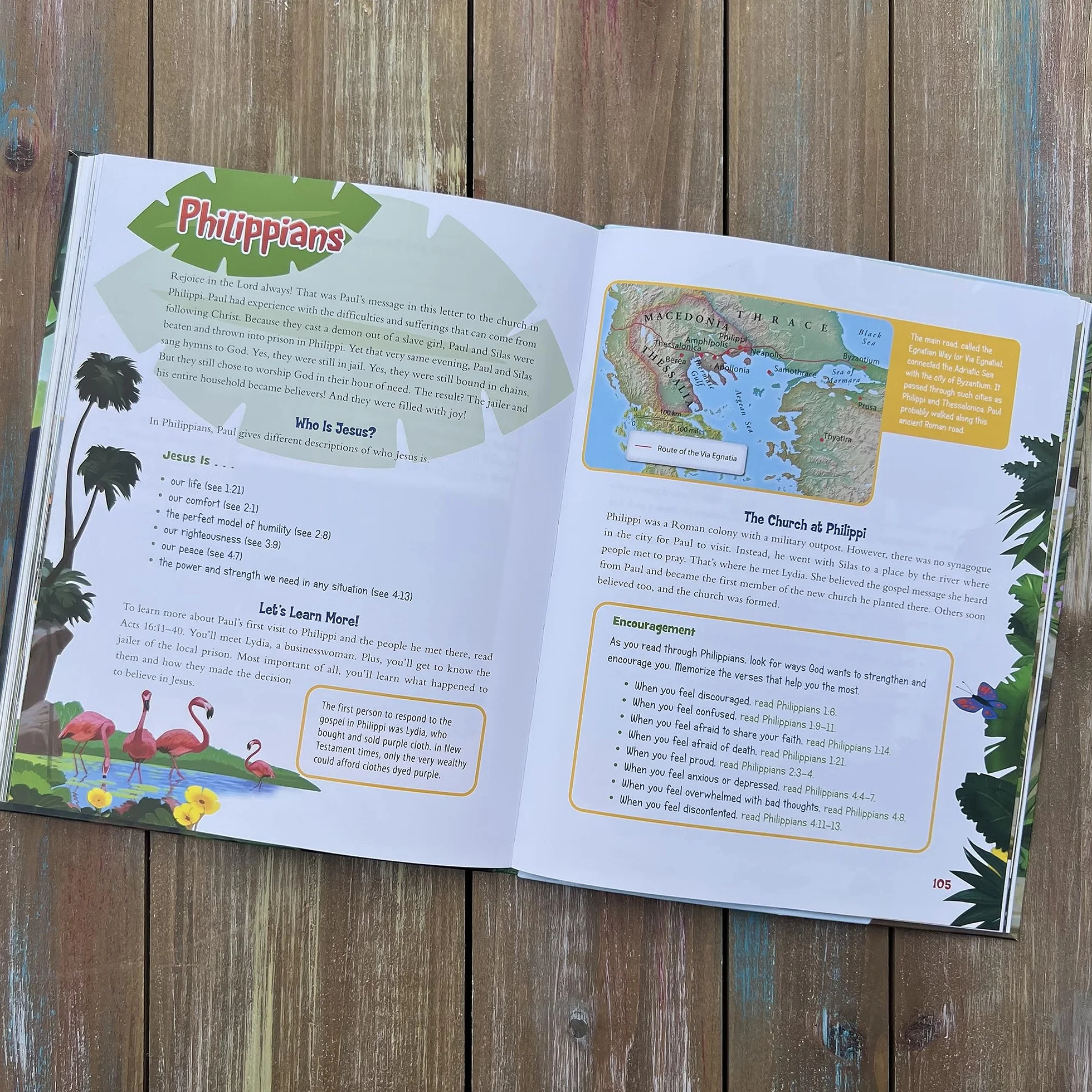Adventure Bible Guide: Explore the Stories, People, and Places of Every Book in the Bible: An Ideal Companion to the NIV Adventure Bible