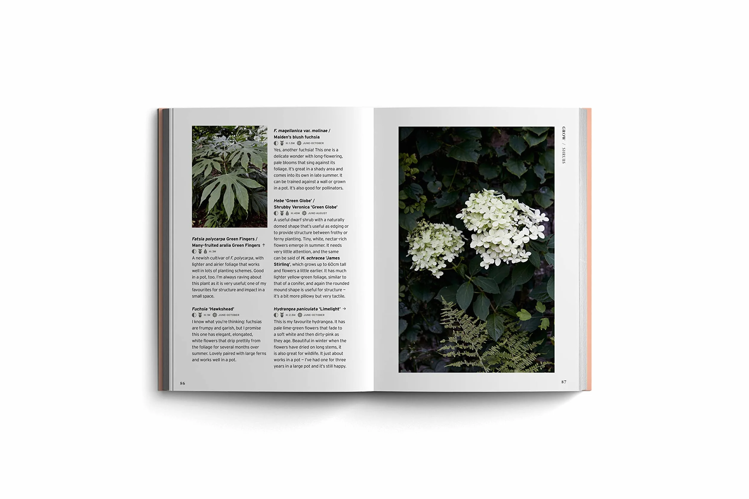 Bloom Gardener's Guide: Work with the Light, Grow the Right Plants, Bring Dark Corners to Life