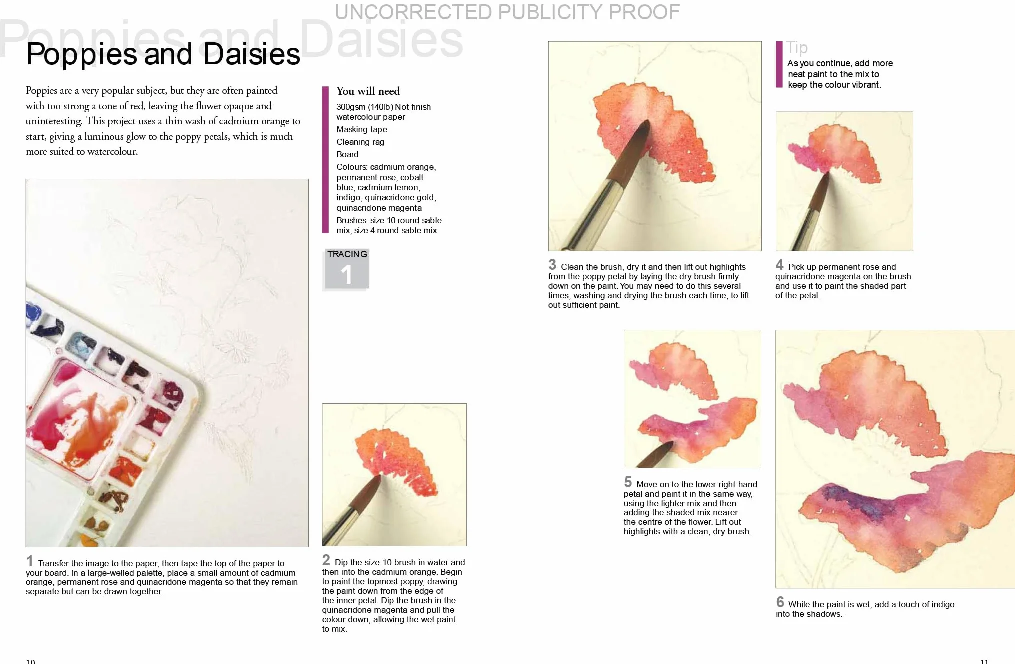 Watercolour Flowers Paint Set