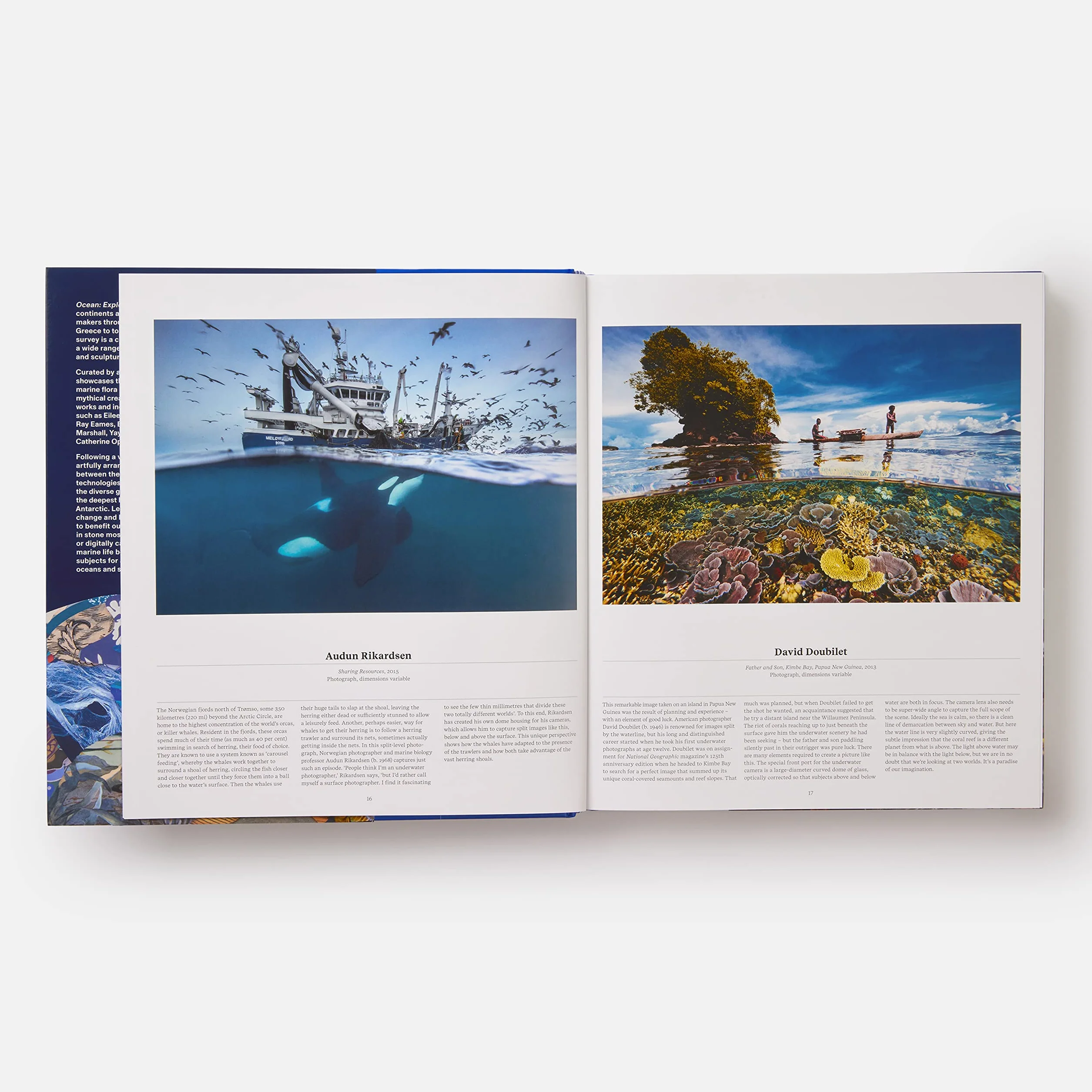 Ocean: exploring the marine world