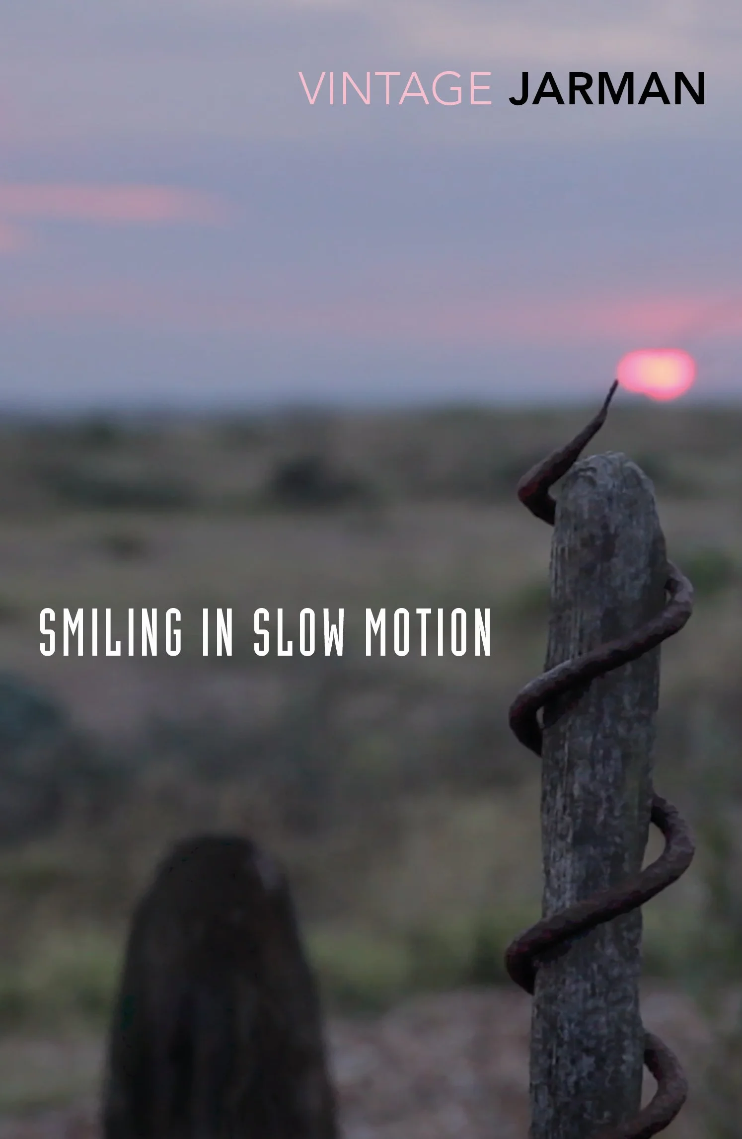 Smiling in Slow Motion: Journals, 1991–1994