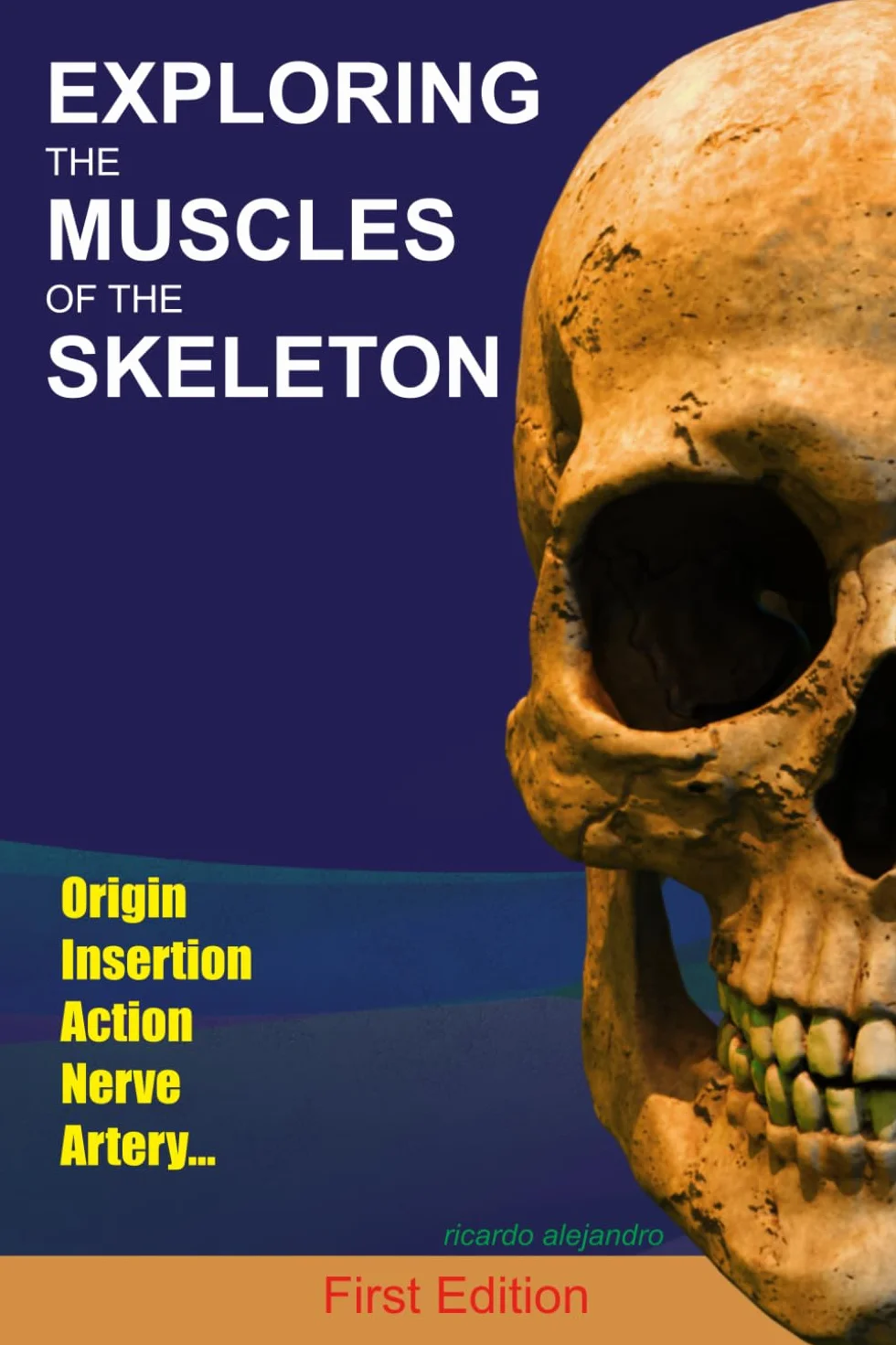 Exploring the Muscles of the Skeleton: Origin and Insertion, a Pocket Guide to Muscle Anatomy for Medical and Nursing Students