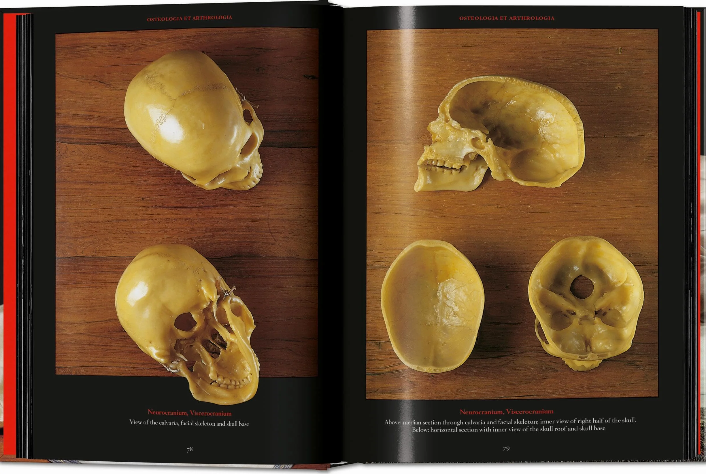 Anatomical Waxes. 45th Ed.
