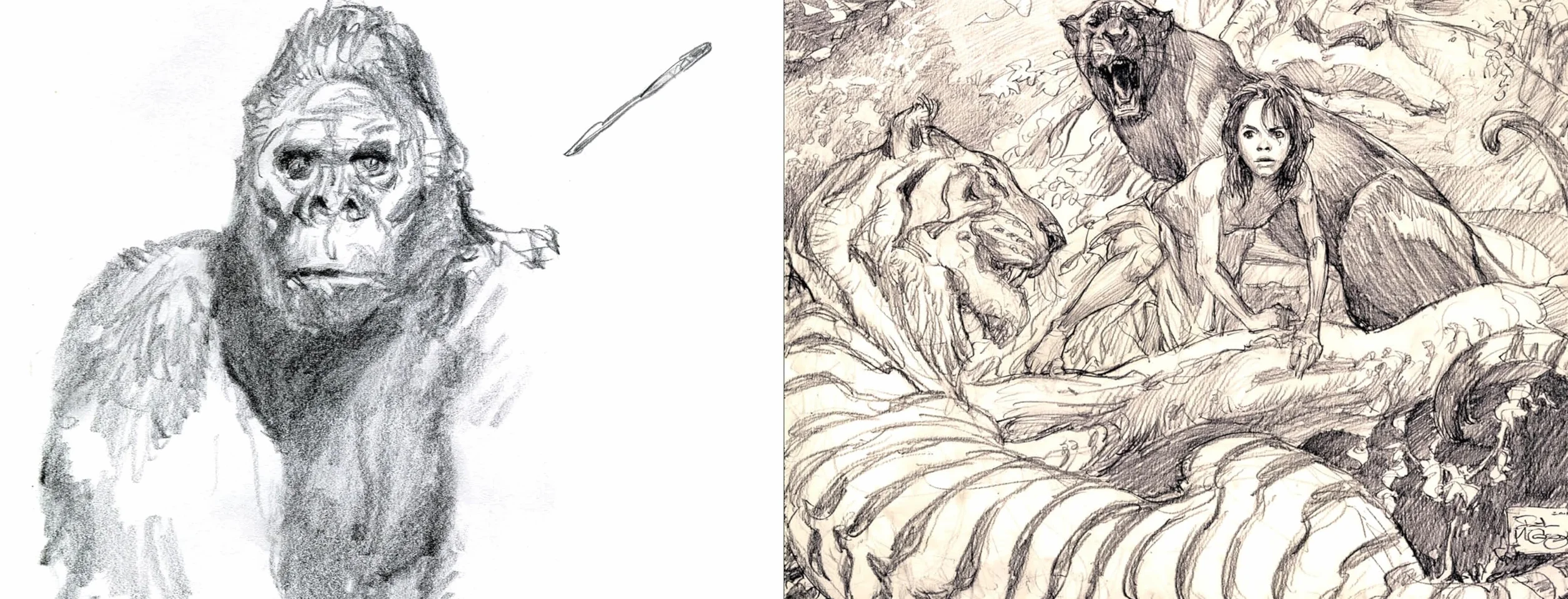 Iain McCaig's Once Upon a Time in the Sketchbook