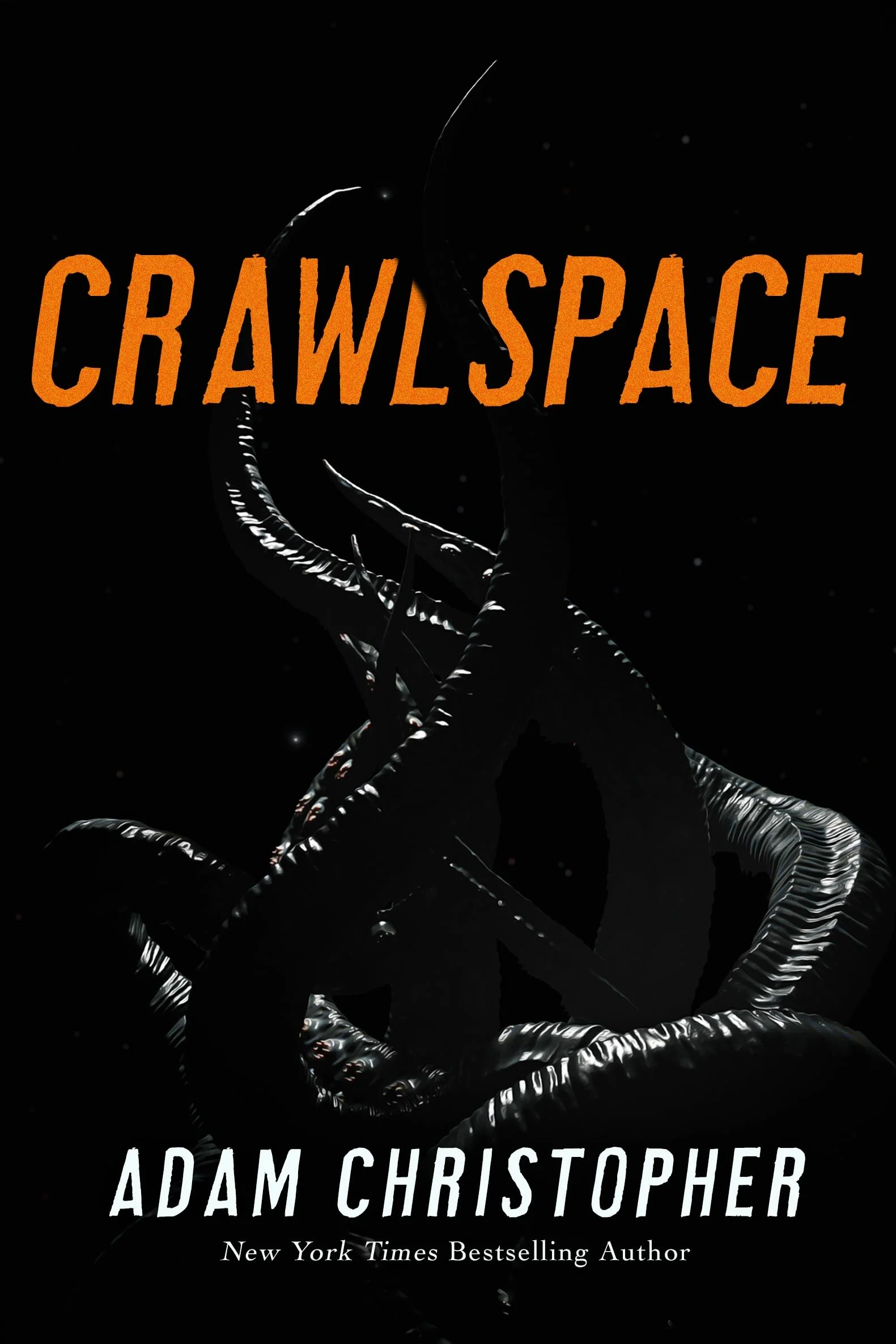 Crawlspace