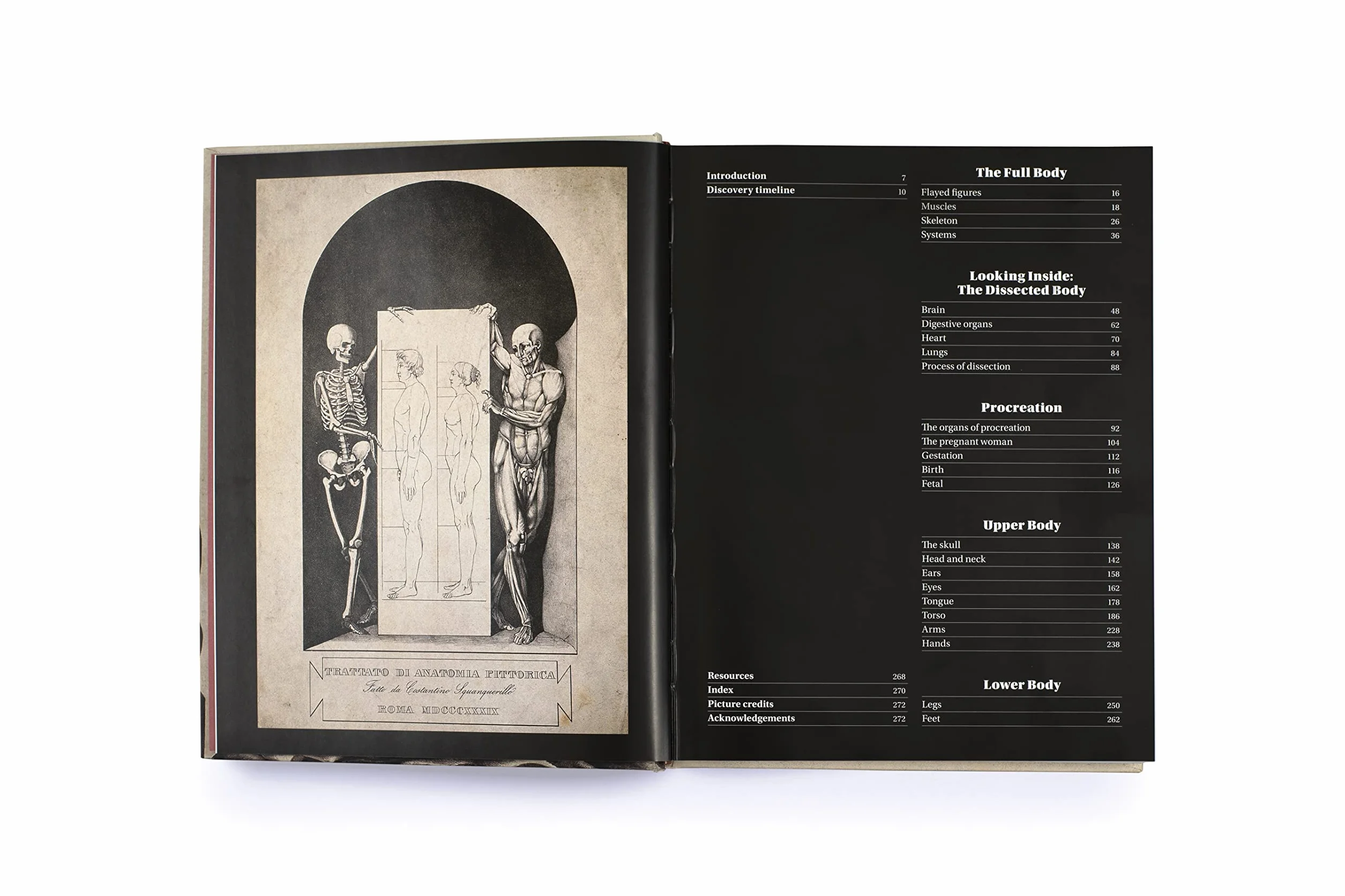 Anatomica: The Exquisite and Unsettling Art of Human Anatomy